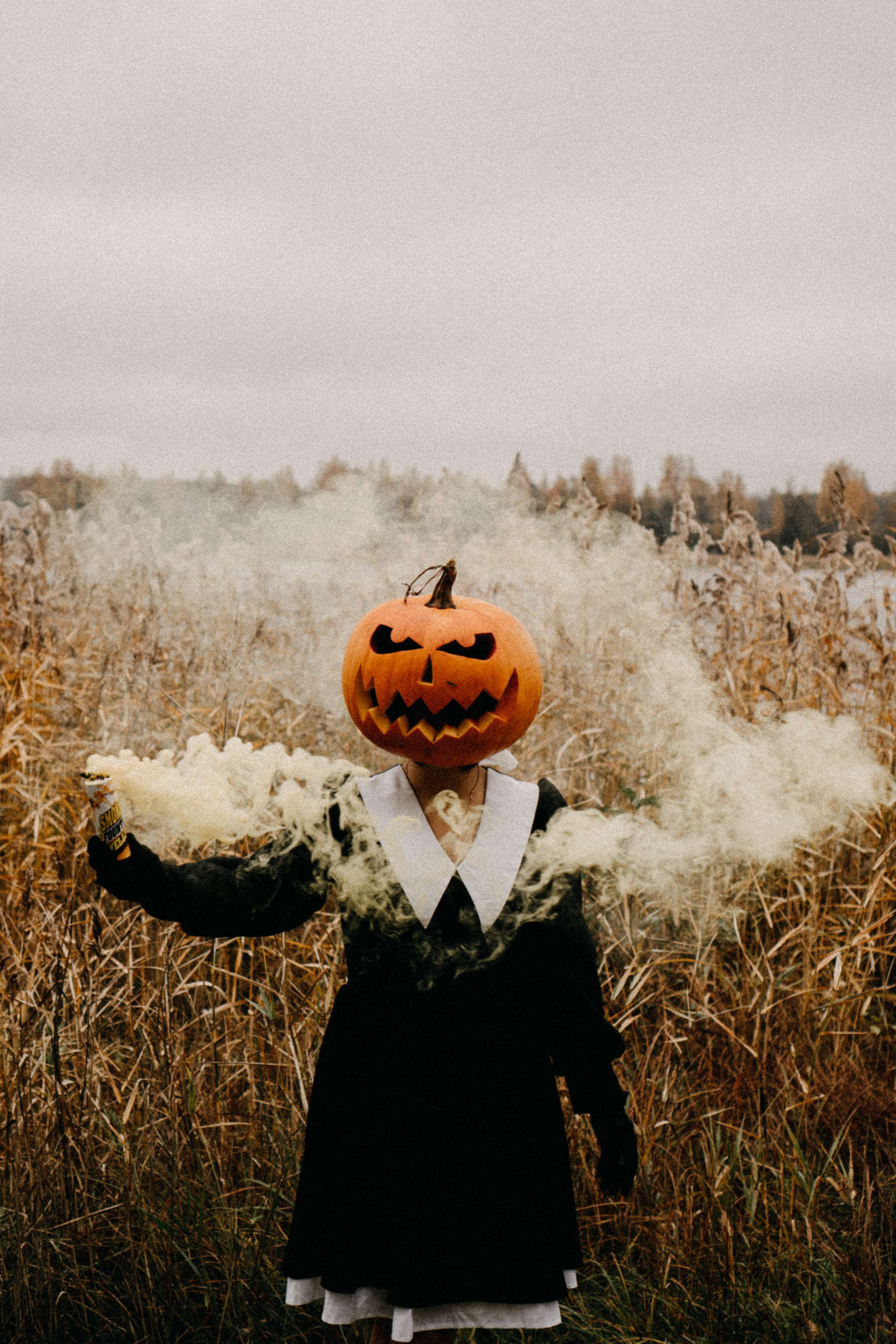 Осеняя. Профессиональный фотограф, Санкт-Петербург — Виктория Богомолова