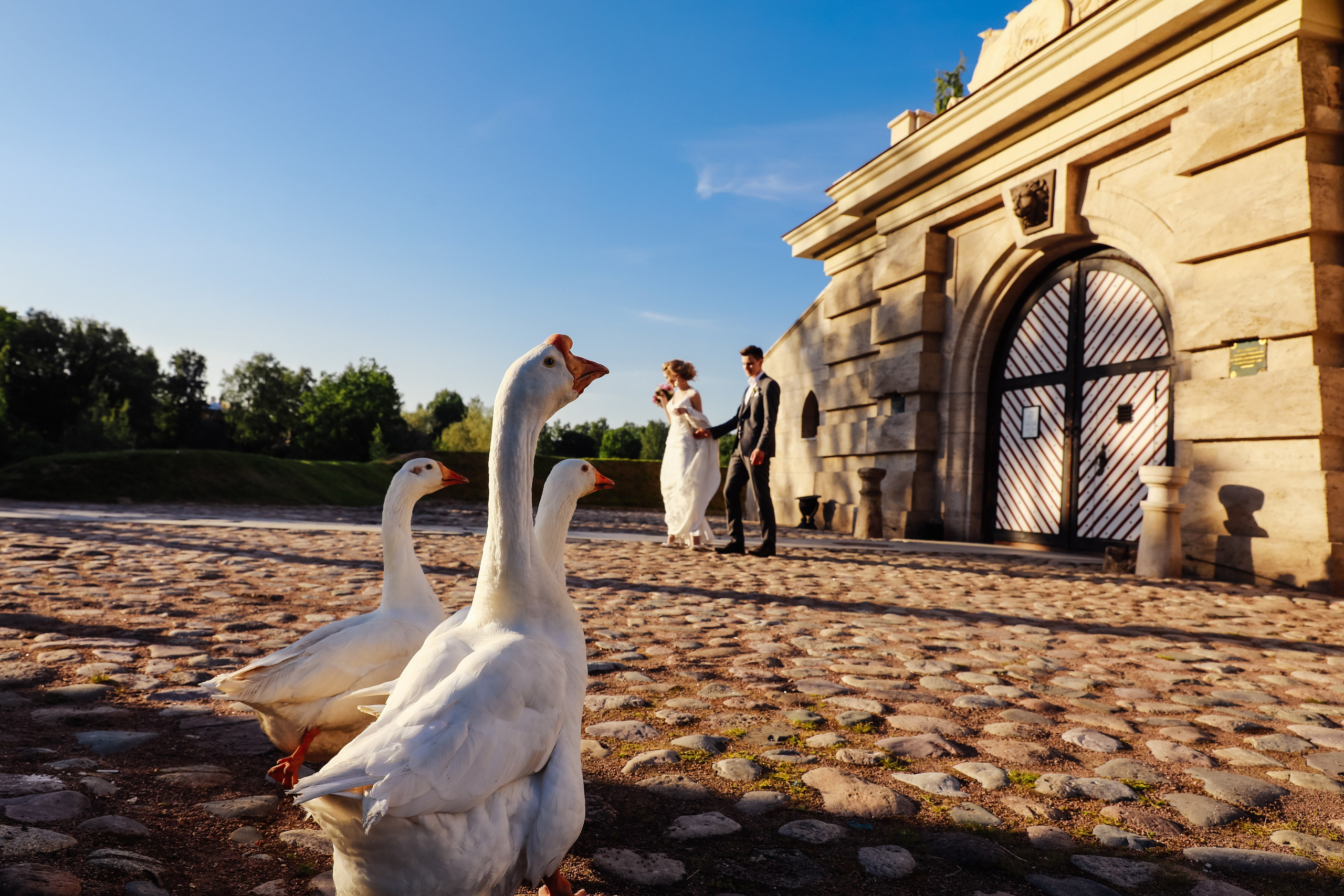 Для двоих. Фотограф в Санкт-Петербурге Денис Персенен