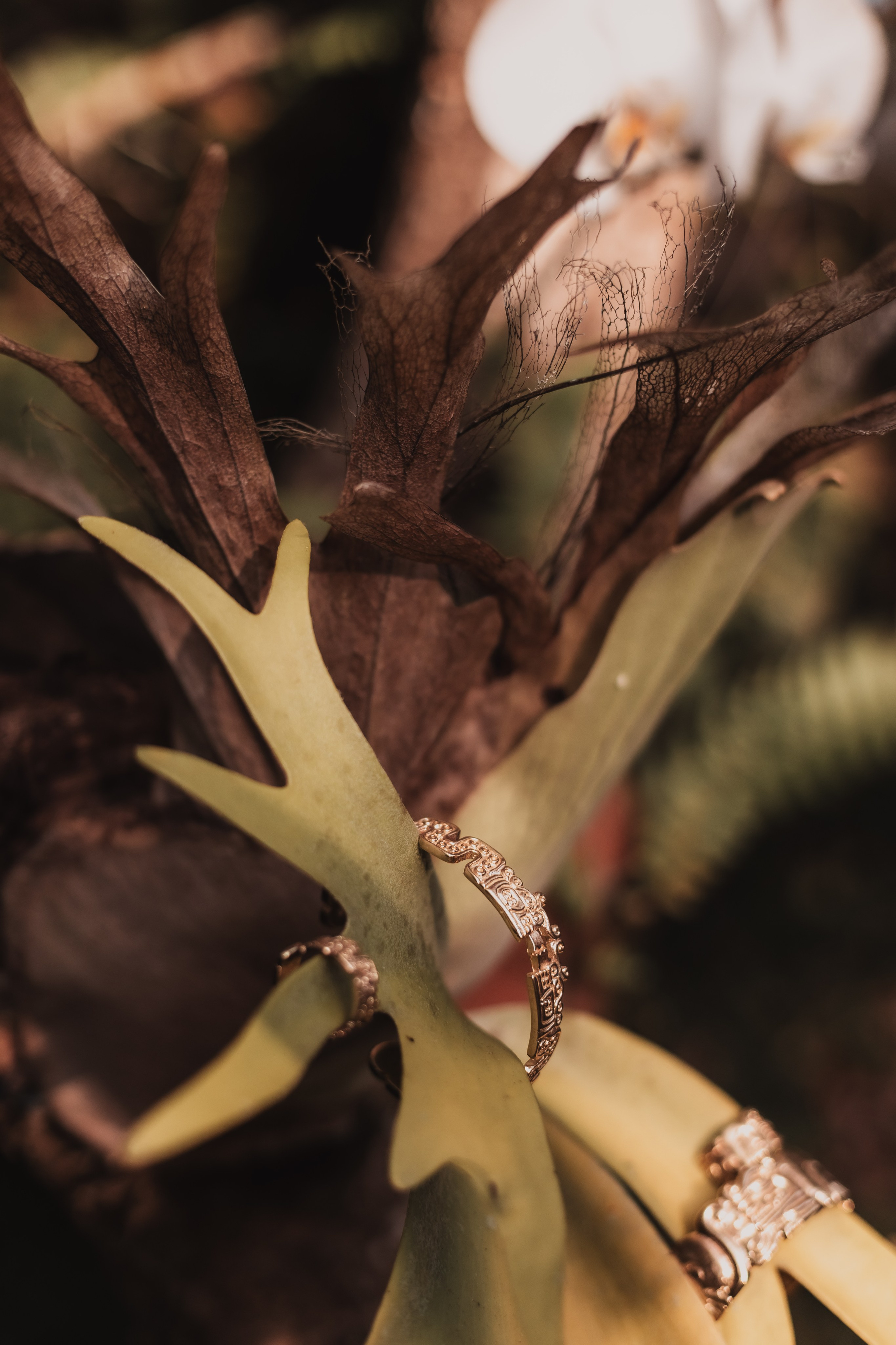 Pao and her collection. Mariam Bagdasaryan