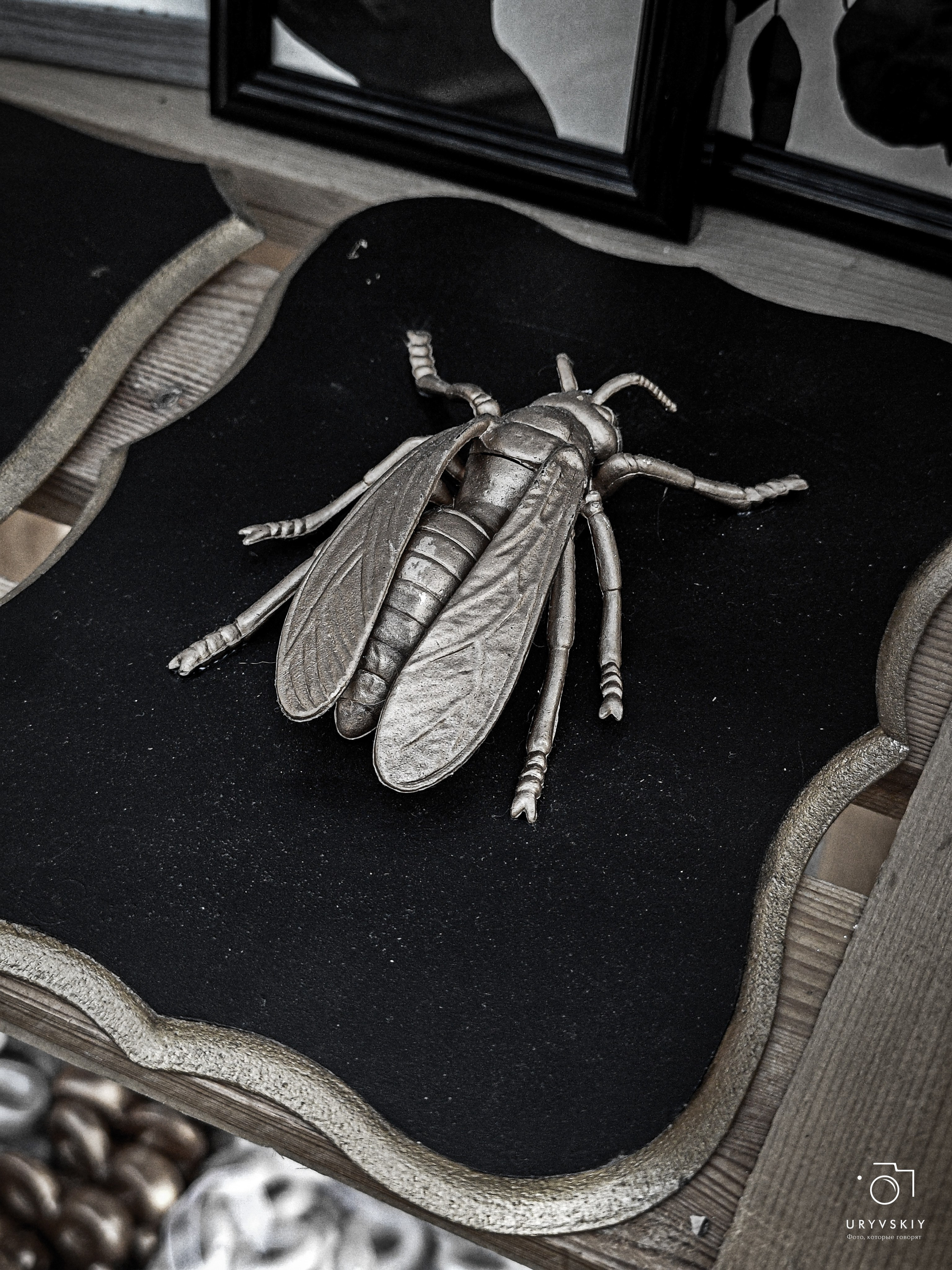 Bellini Осенний маркет. Игорь Урывский. Фотограф Красноярск