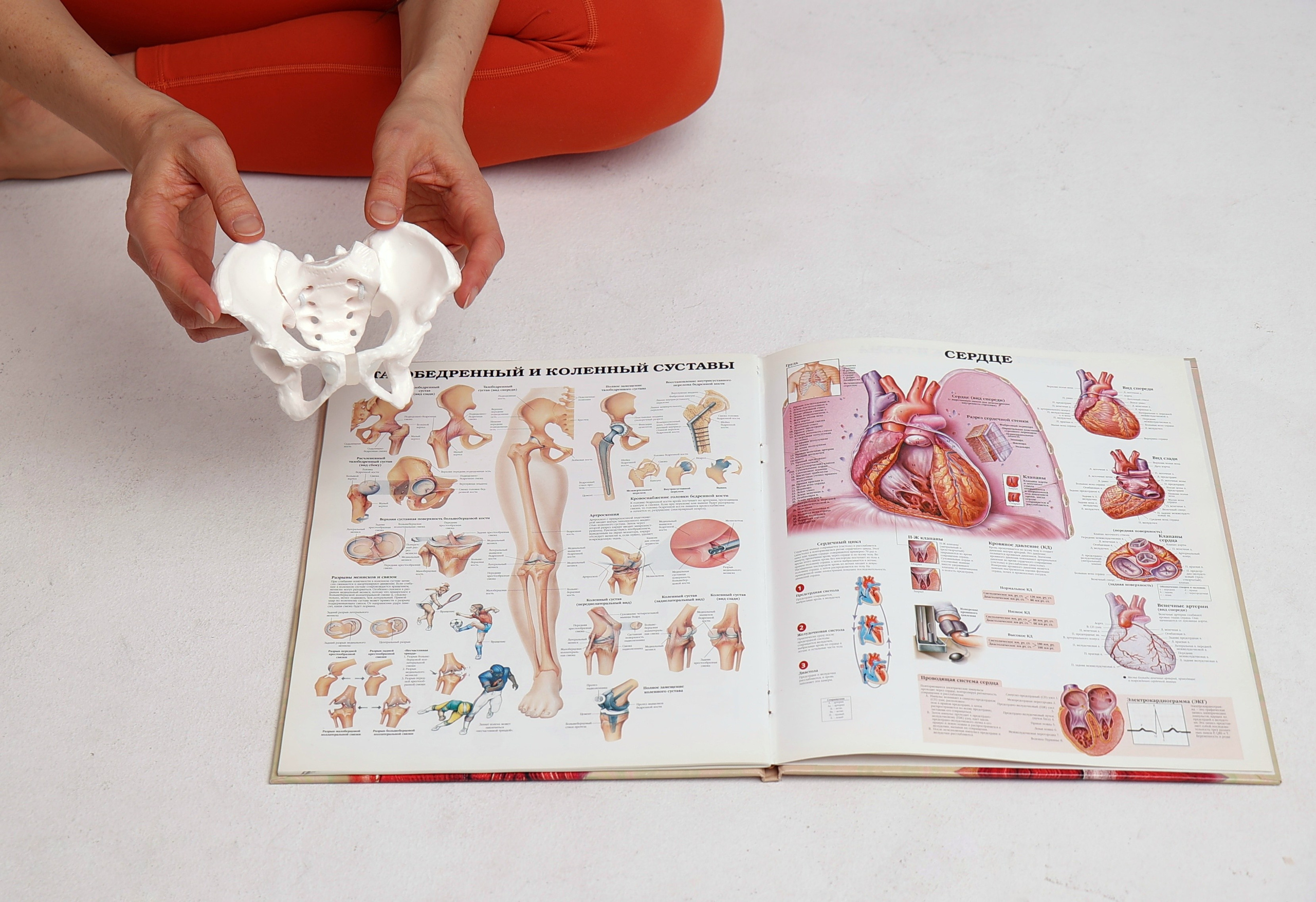 Фотостудия на циклораме. Портретный фотограф Москва