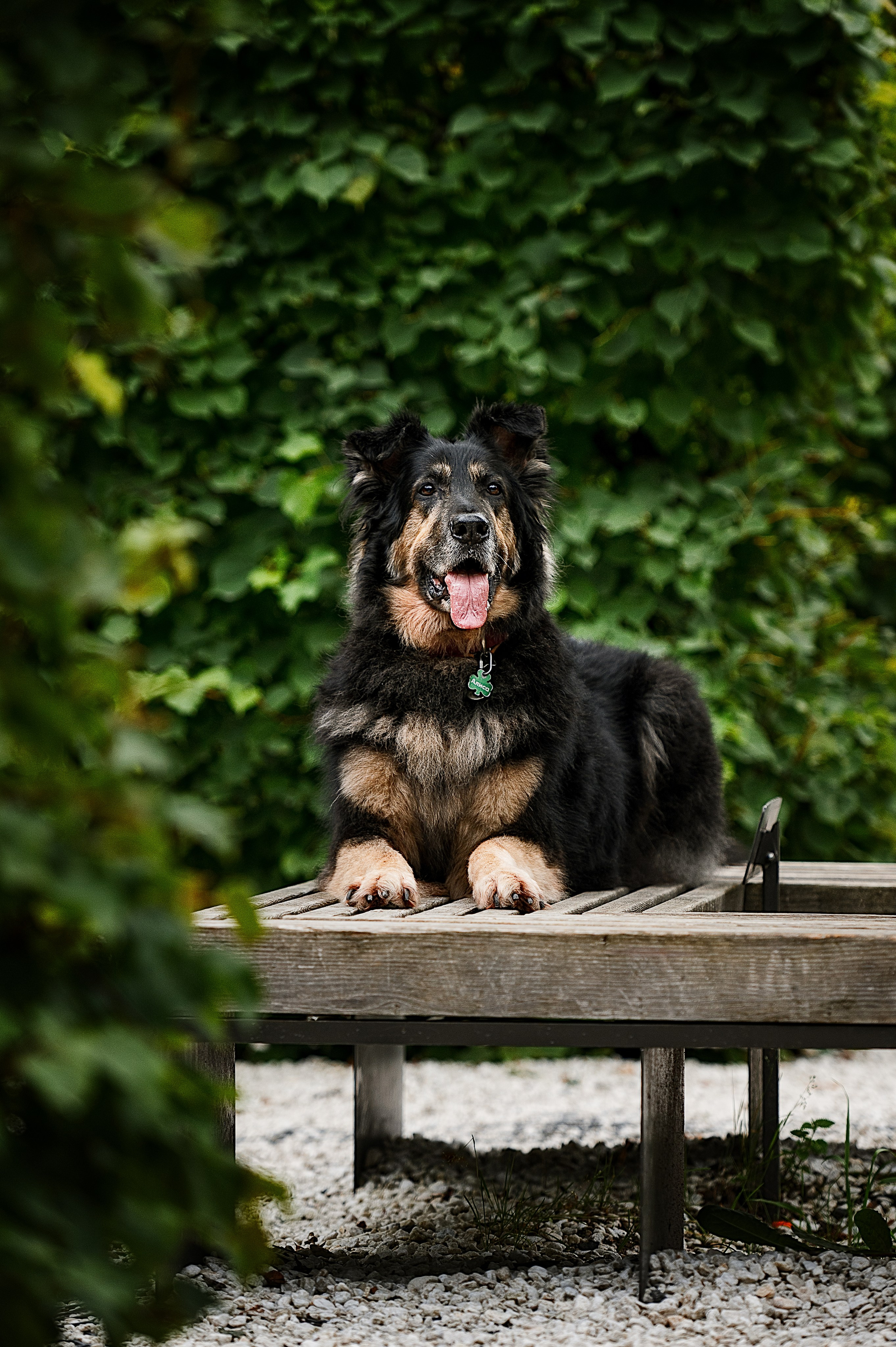Алиса на ВДНХ. Фотограф-анималист