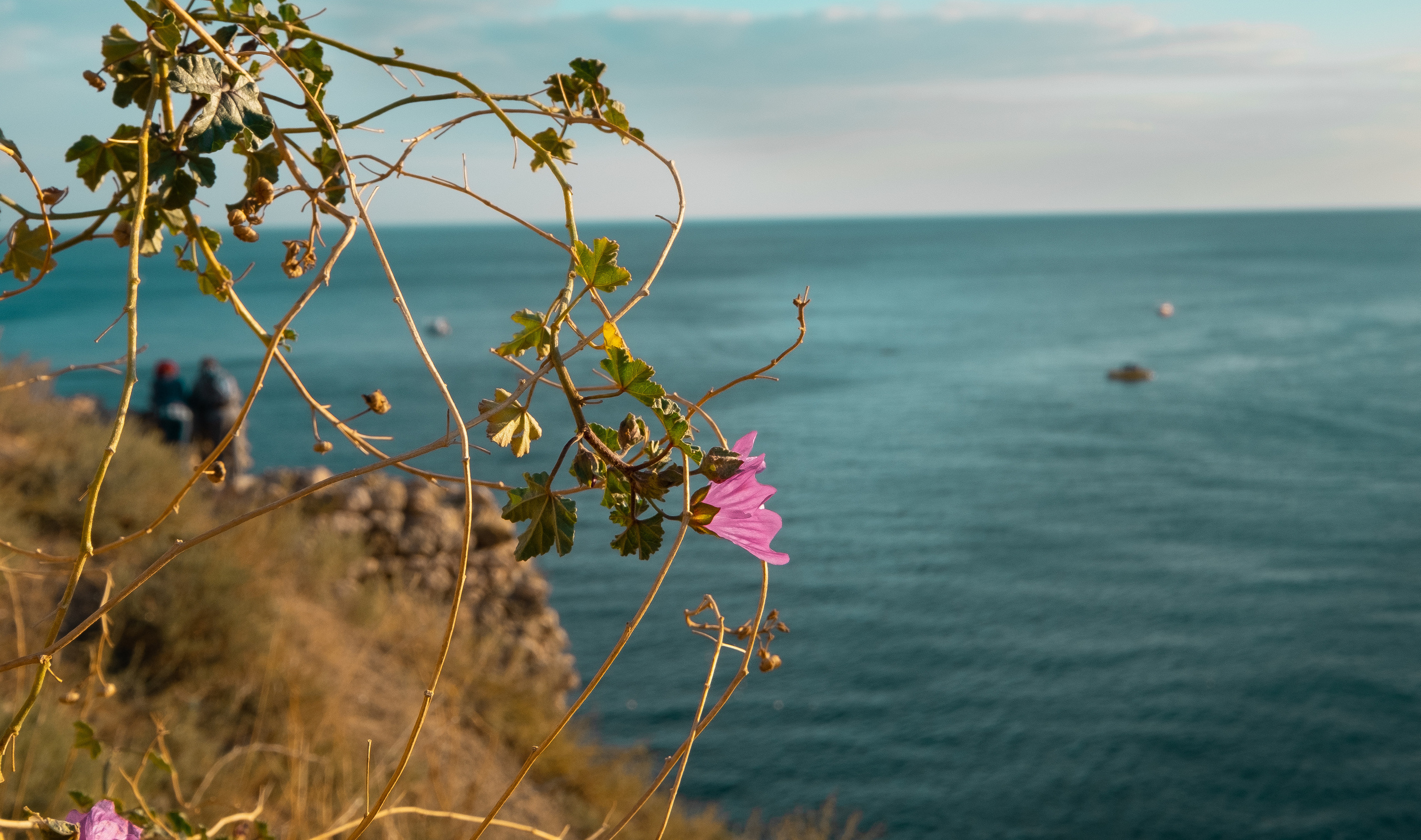 Крым. ПОБУДЬ ЗДЕСЬ И ЦЕЛЕЕ БУДЕТ ЭТОТ МИР