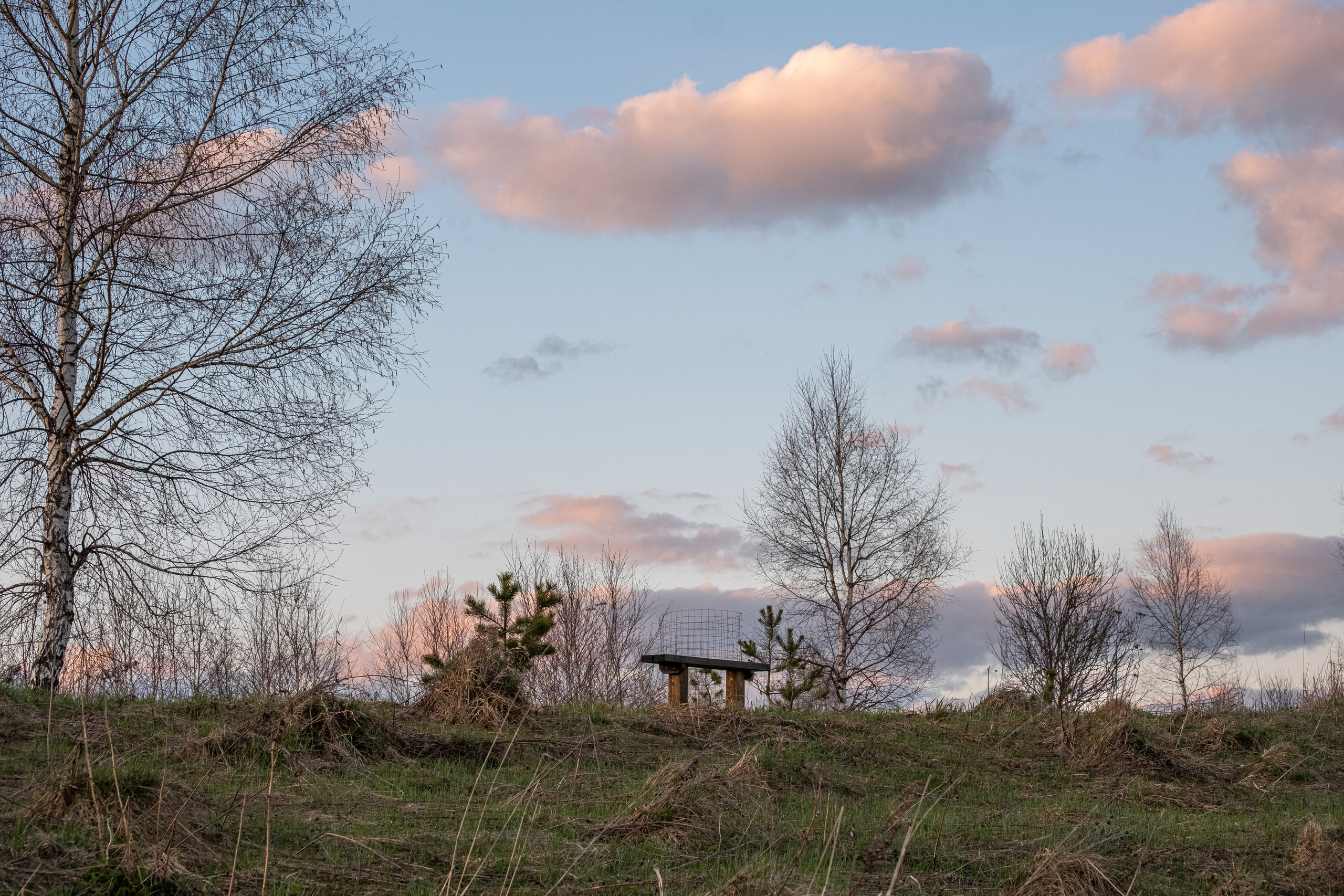 Дача. ПОБУДЬ ЗДЕСЬ И ЦЕЛЕЕ БУДЕТ ЭТОТ МИР