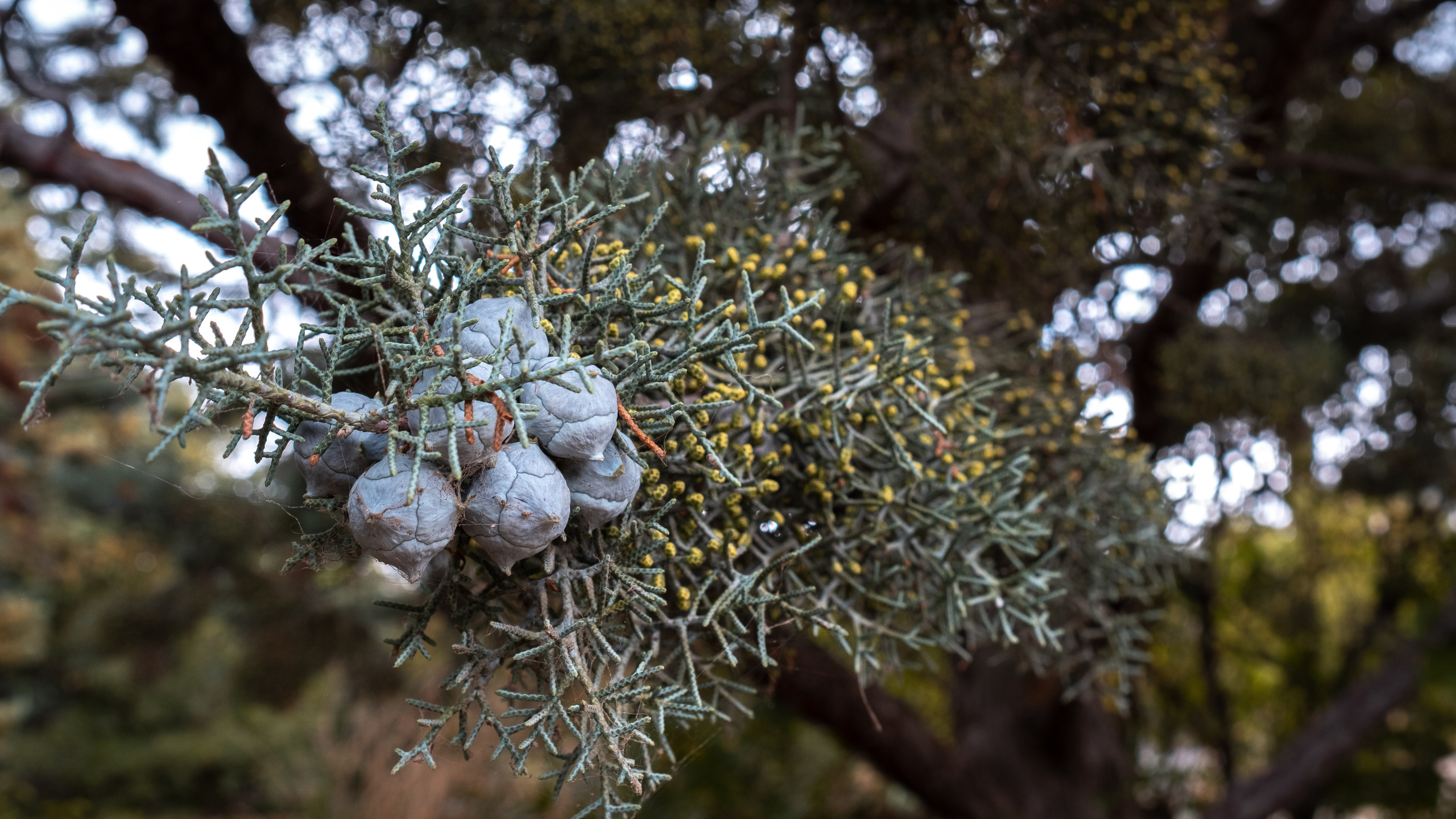 Крым. ПОБУДЬ ЗДЕСЬ И ЦЕЛЕЕ БУДЕТ ЭТОТ МИР