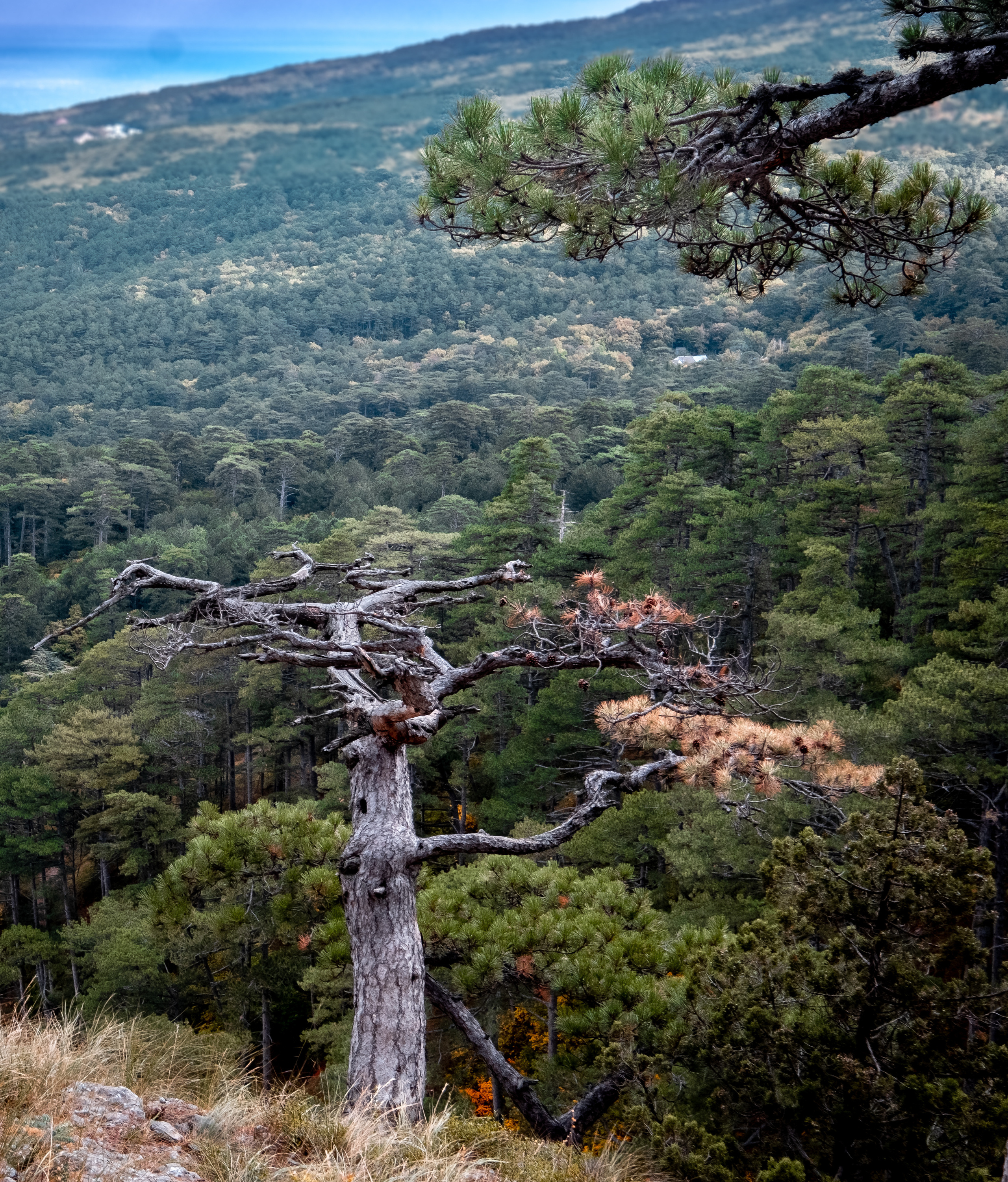 Крым. ПОБУДЬ ЗДЕСЬ И ЦЕЛЕЕ БУДЕТ ЭТОТ МИР