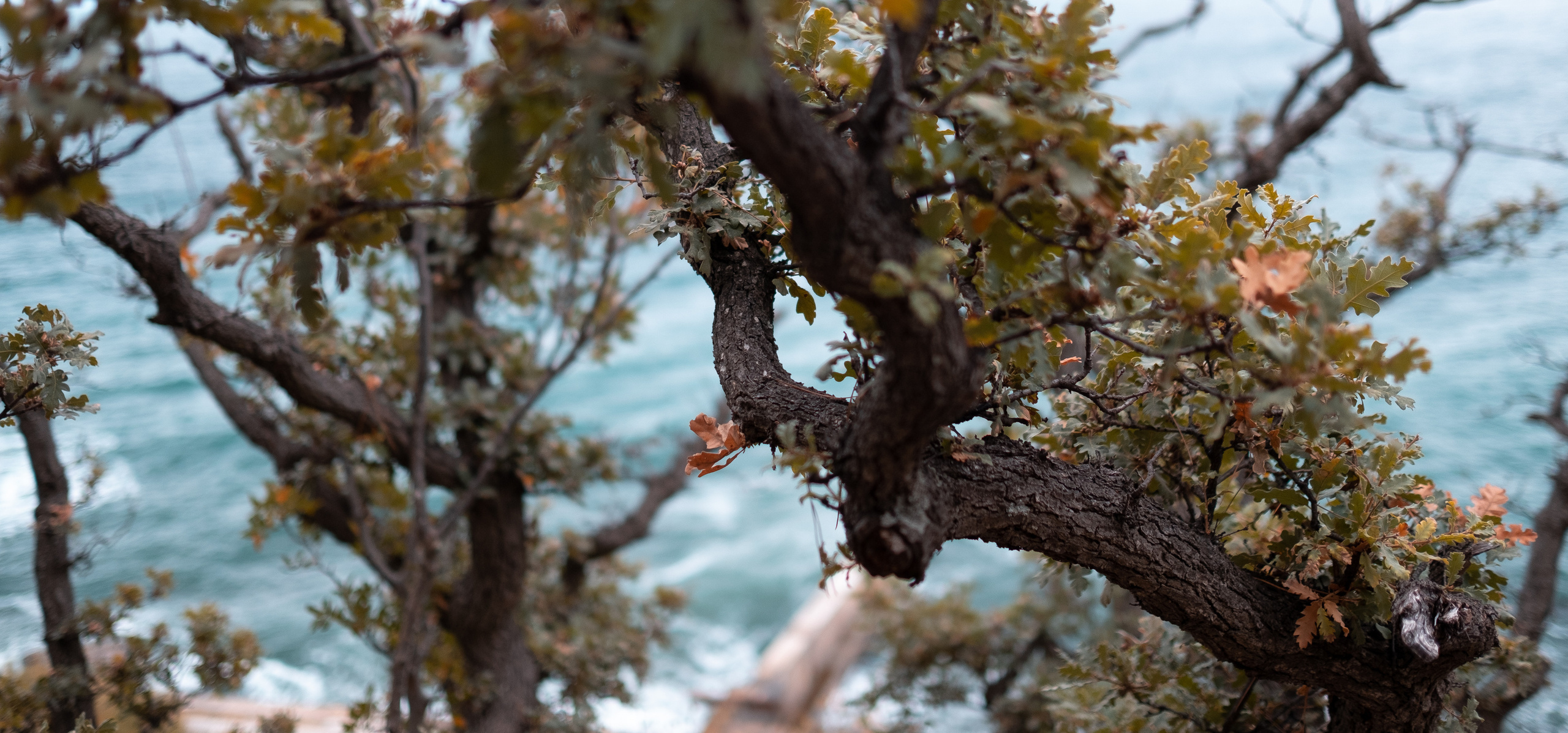 Крым. ПОБУДЬ ЗДЕСЬ И ЦЕЛЕЕ БУДЕТ ЭТОТ МИР