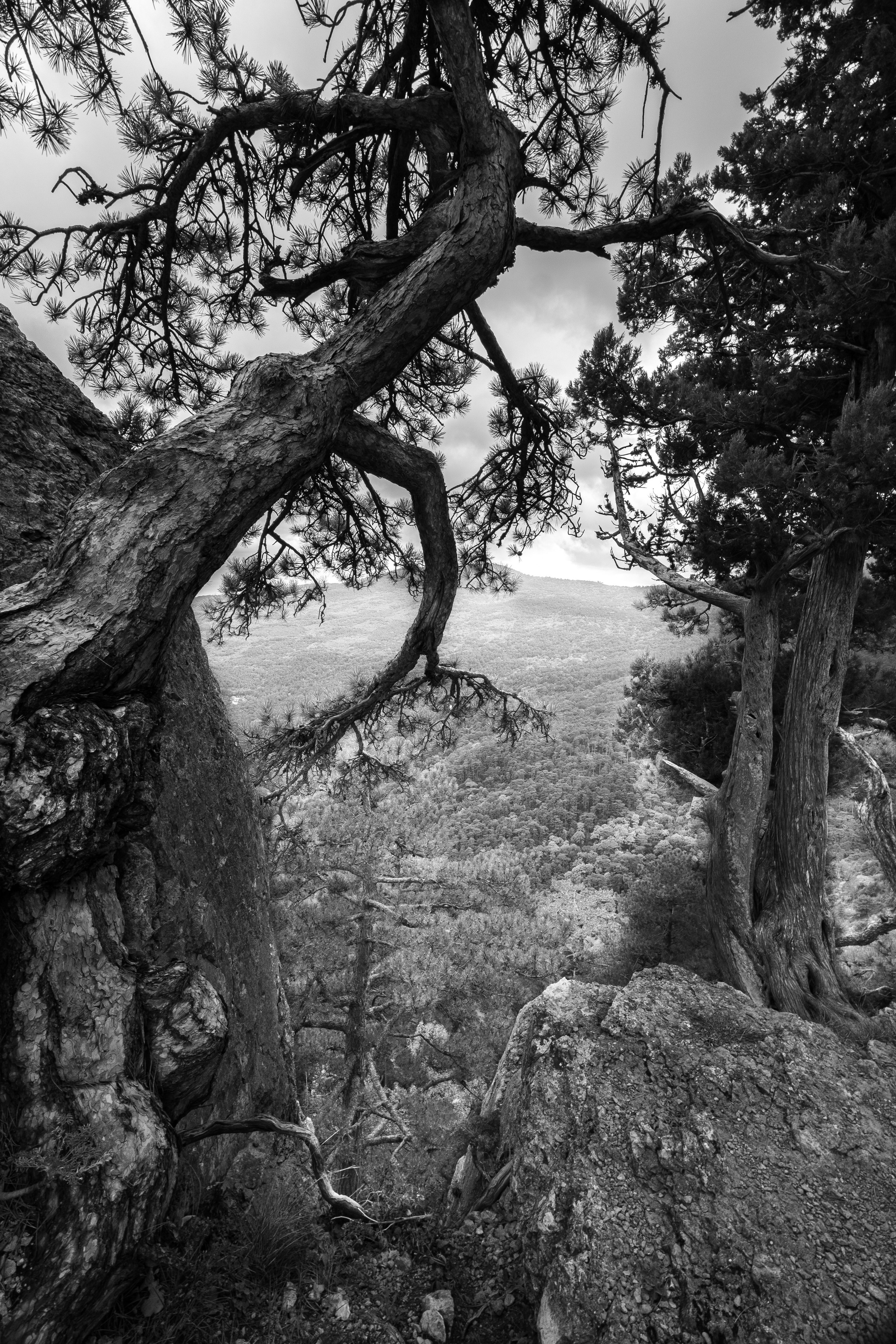 Крым. ПОБУДЬ ЗДЕСЬ И ЦЕЛЕЕ БУДЕТ ЭТОТ МИР