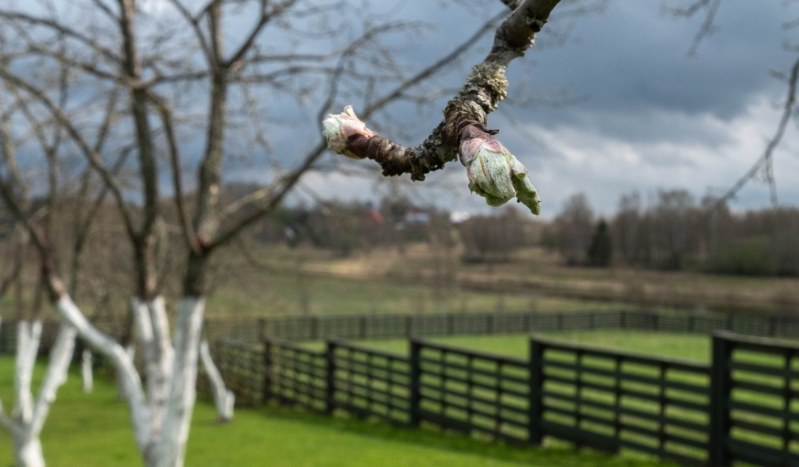 Дача. ПОБУДЬ ЗДЕСЬ И ЦЕЛЕЕ БУДЕТ ЭТОТ МИР