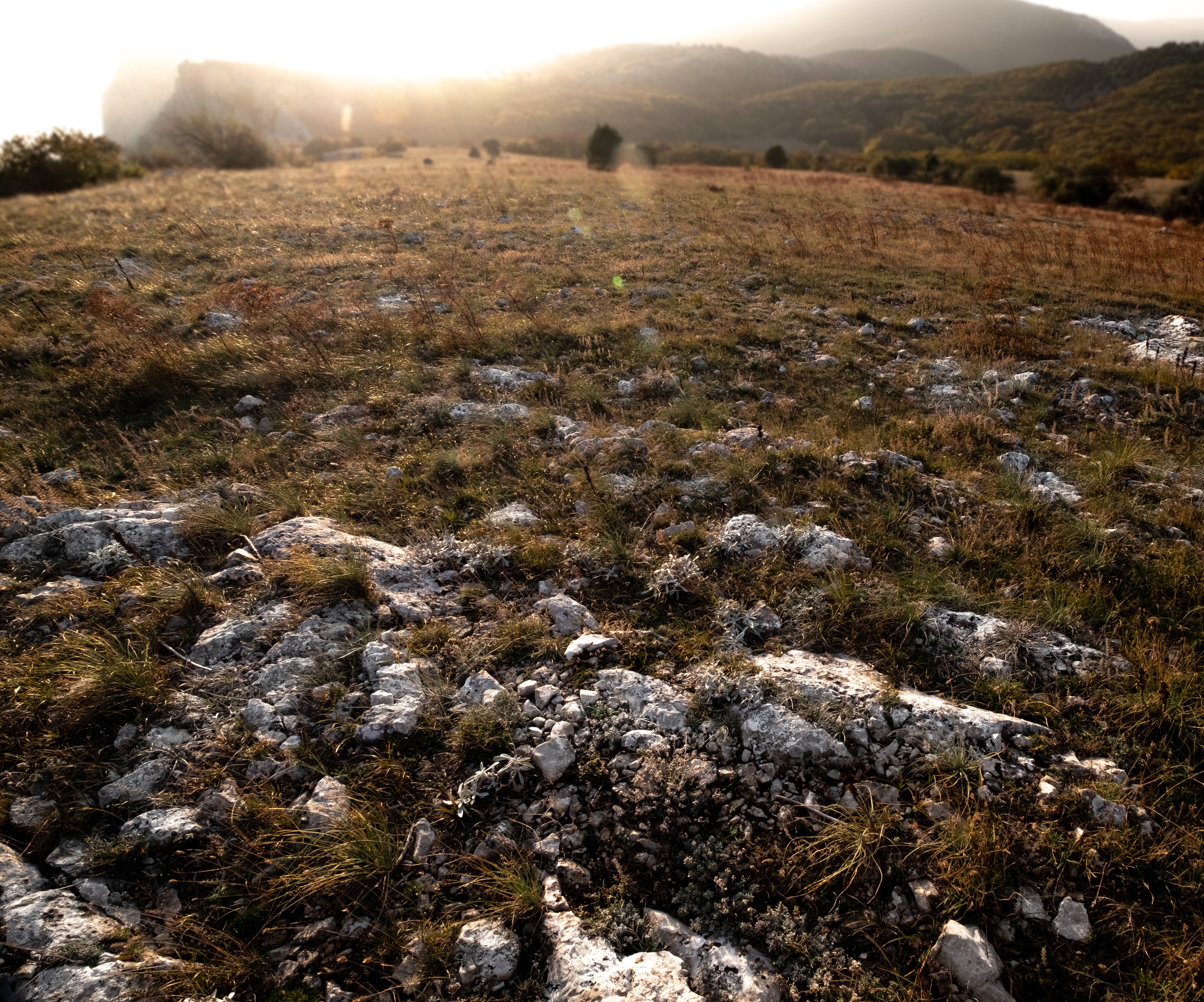 Крым. ПОБУДЬ ЗДЕСЬ И ЦЕЛЕЕ БУДЕТ ЭТОТ МИР