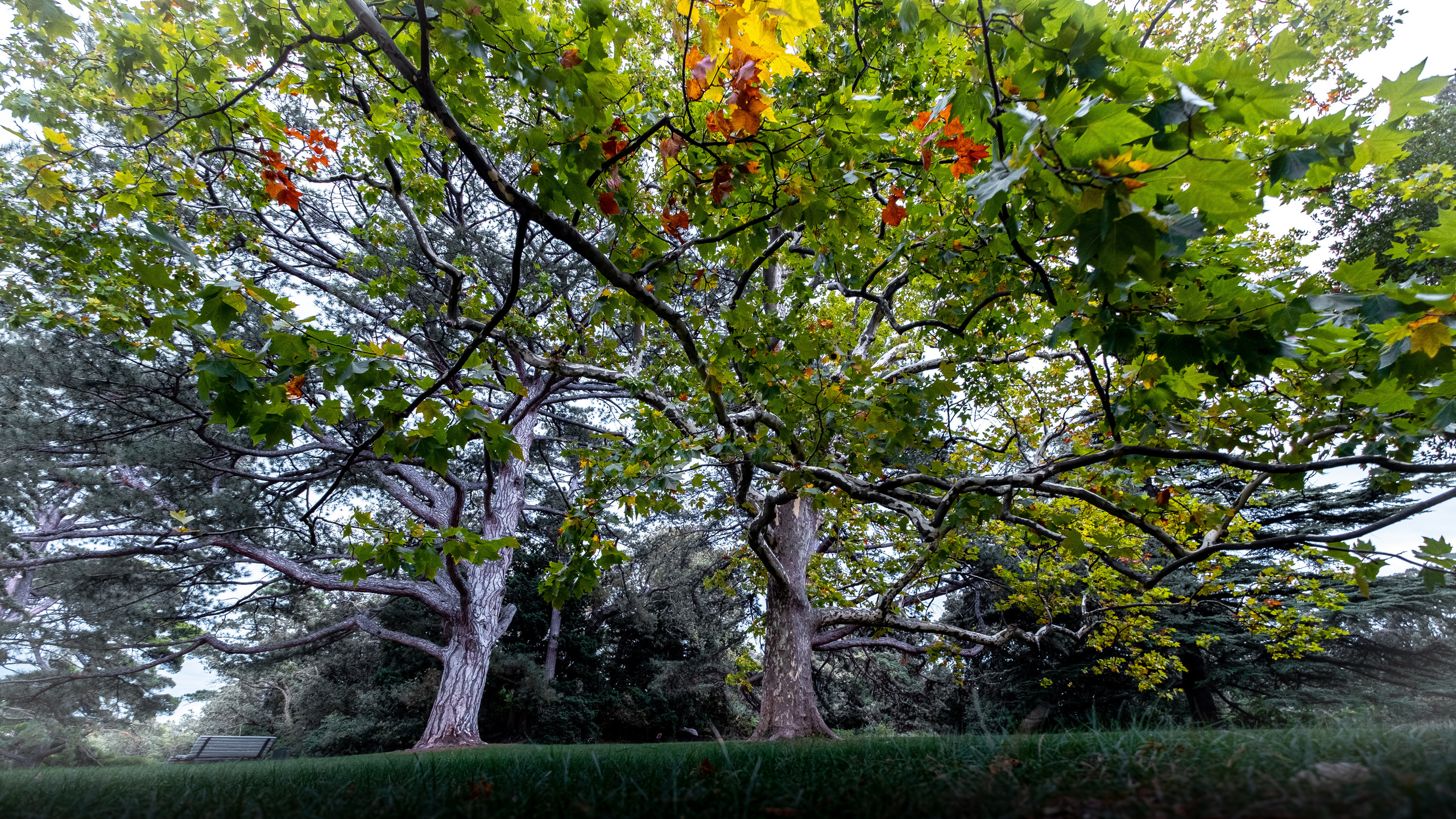 Крым. ПОБУДЬ ЗДЕСЬ И ЦЕЛЕЕ БУДЕТ ЭТОТ МИР