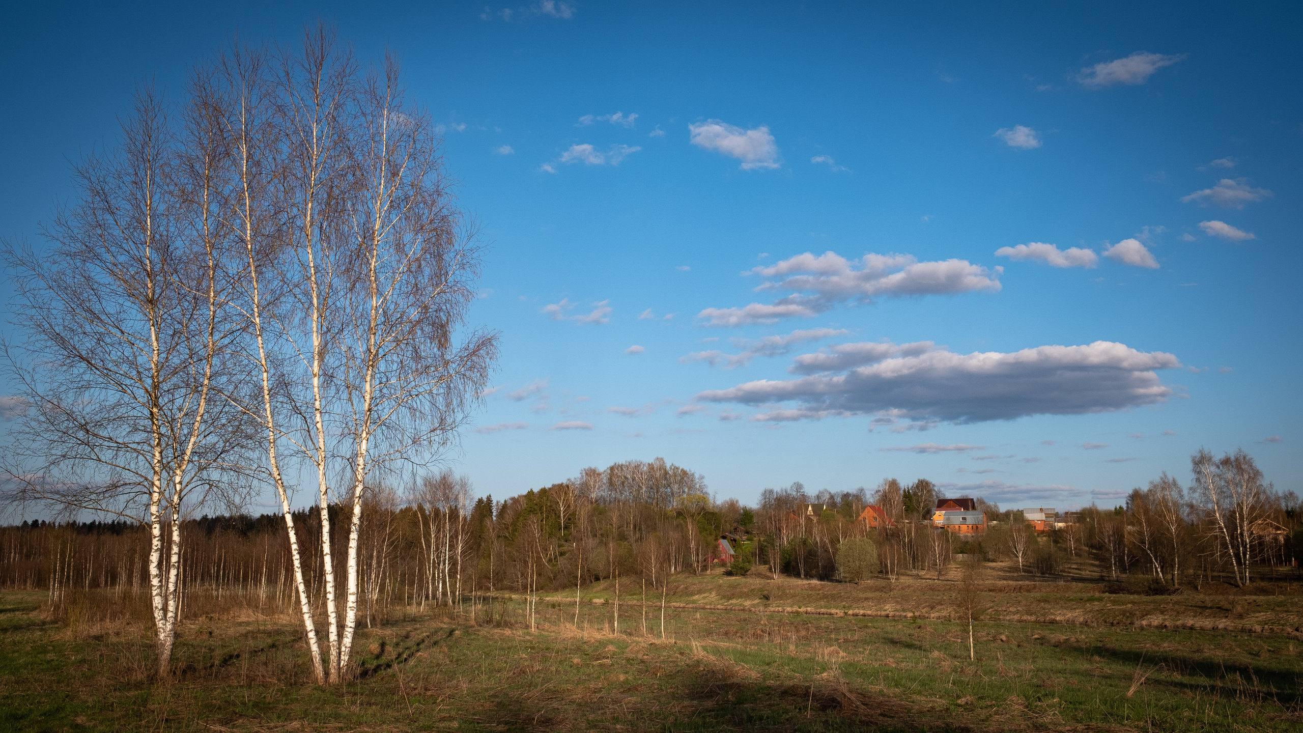 Дача. ПОБУДЬ ЗДЕСЬ И ЦЕЛЕЕ БУДЕТ ЭТОТ МИР
