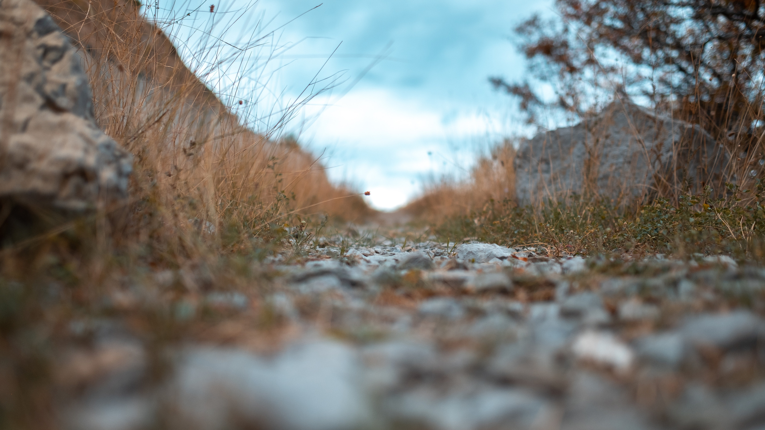 Крым. ПОБУДЬ ЗДЕСЬ И ЦЕЛЕЕ БУДЕТ ЭТОТ МИР