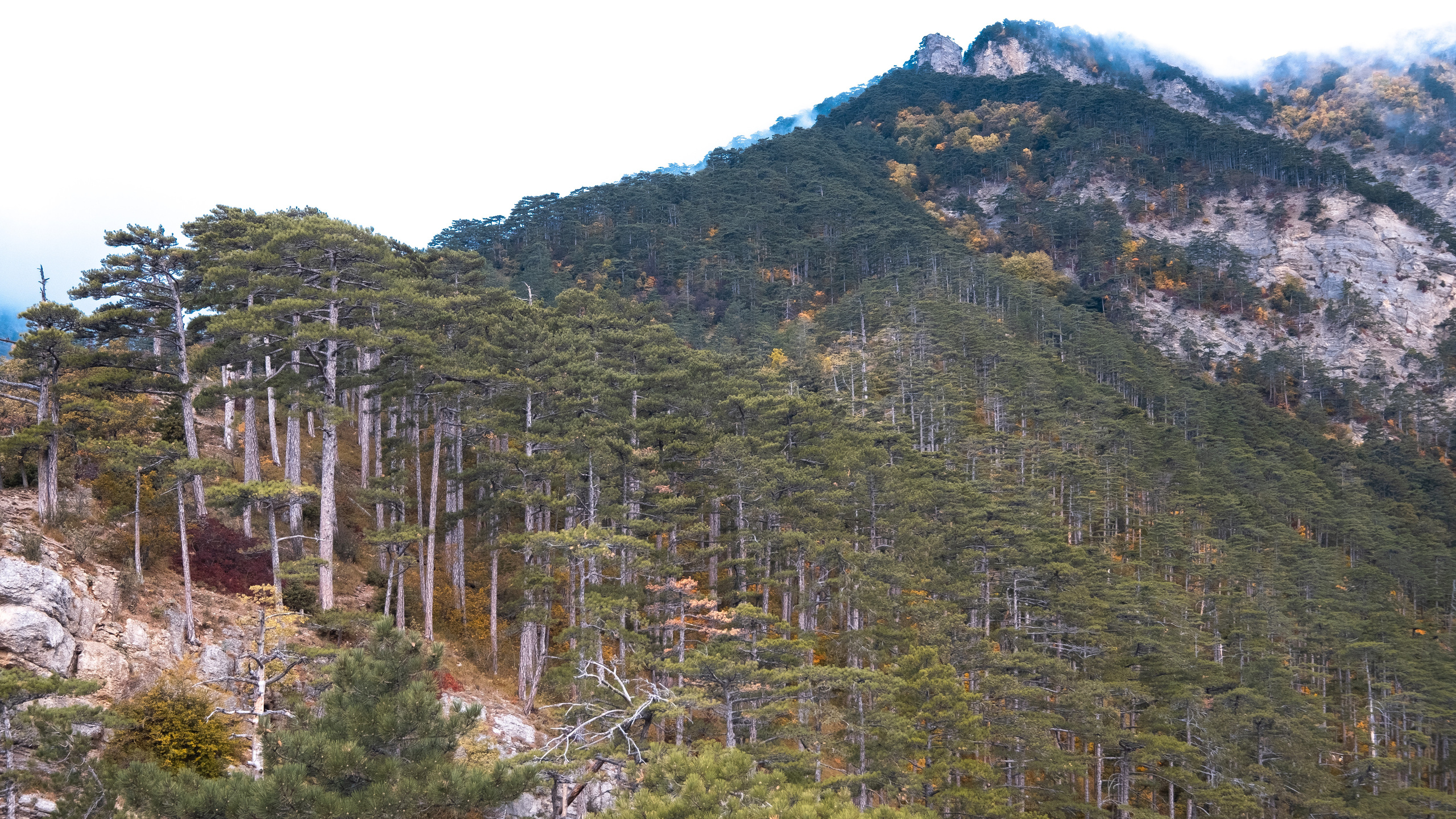 Крым. ПОБУДЬ ЗДЕСЬ И ЦЕЛЕЕ БУДЕТ ЭТОТ МИР