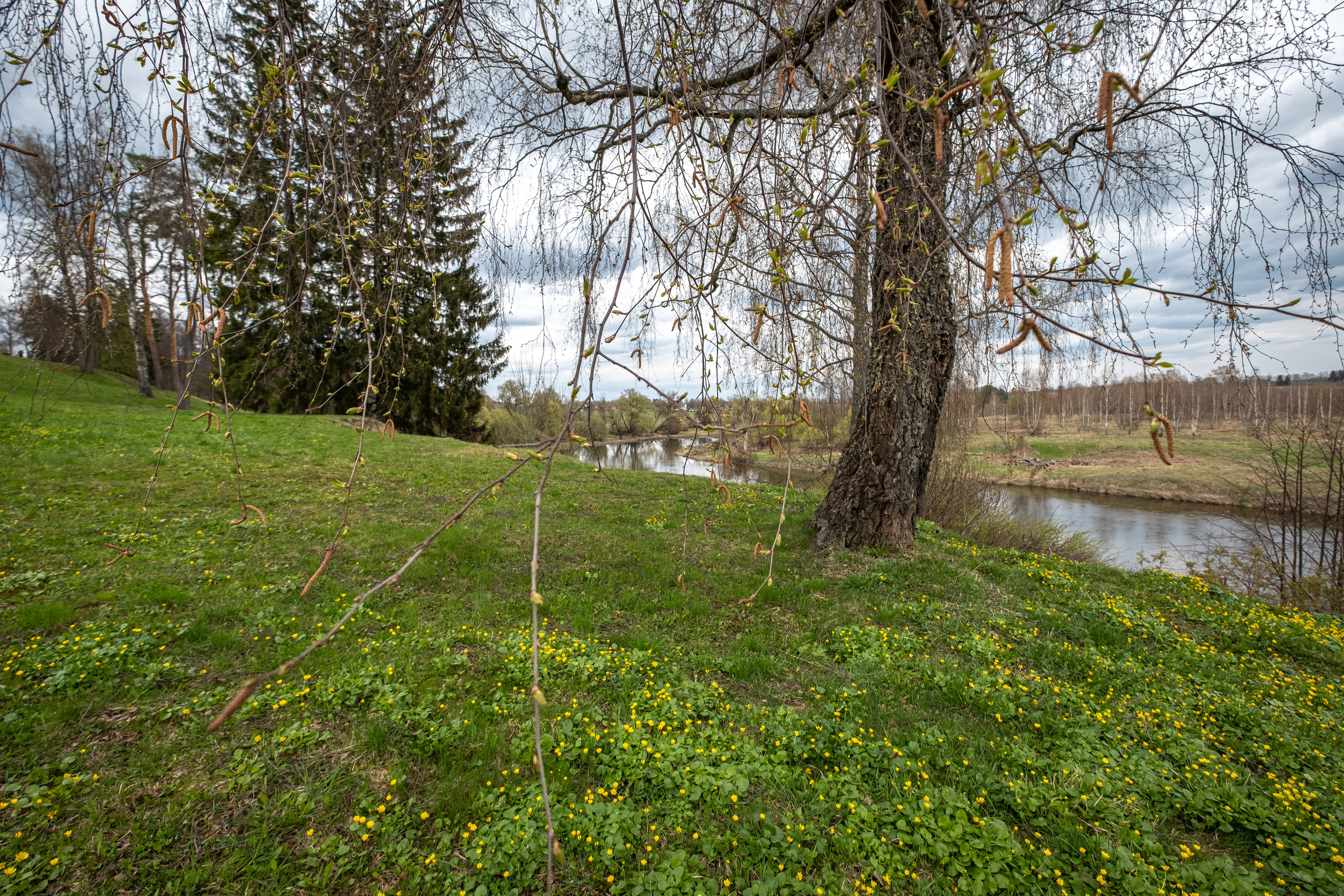 Дача. ПОБУДЬ ЗДЕСЬ И ЦЕЛЕЕ БУДЕТ ЭТОТ МИР