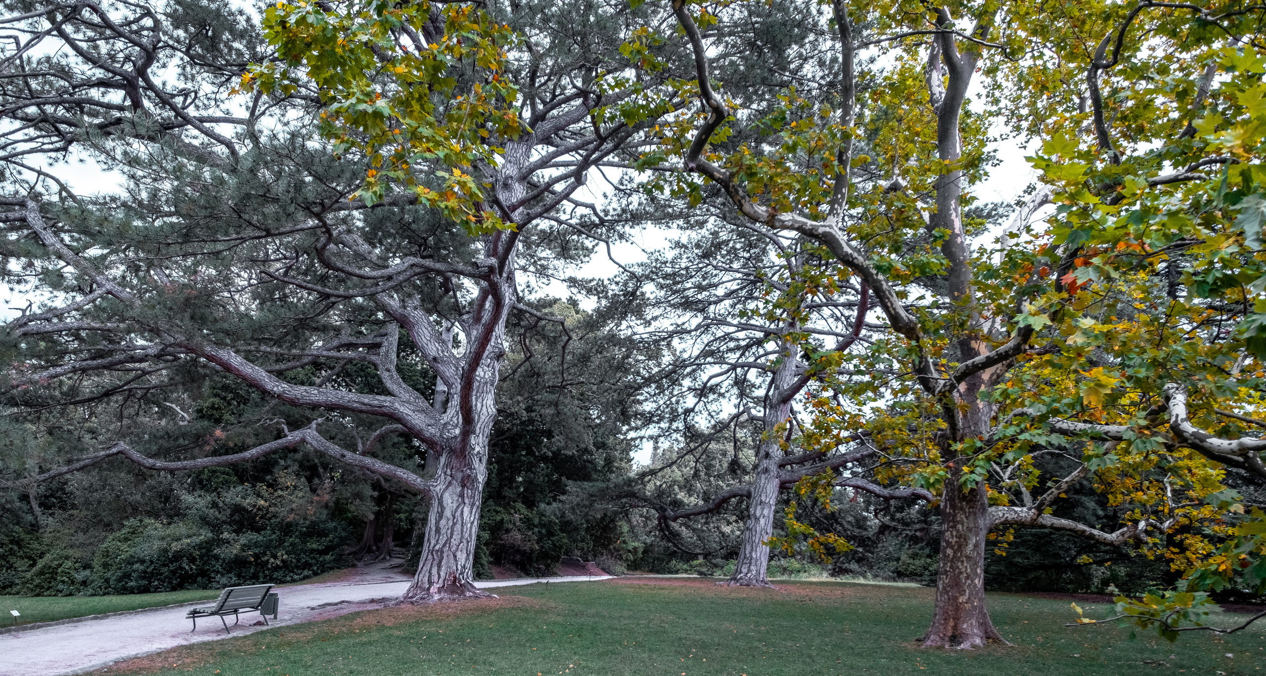 Крым. ПОБУДЬ ЗДЕСЬ И ЦЕЛЕЕ БУДЕТ ЭТОТ МИР