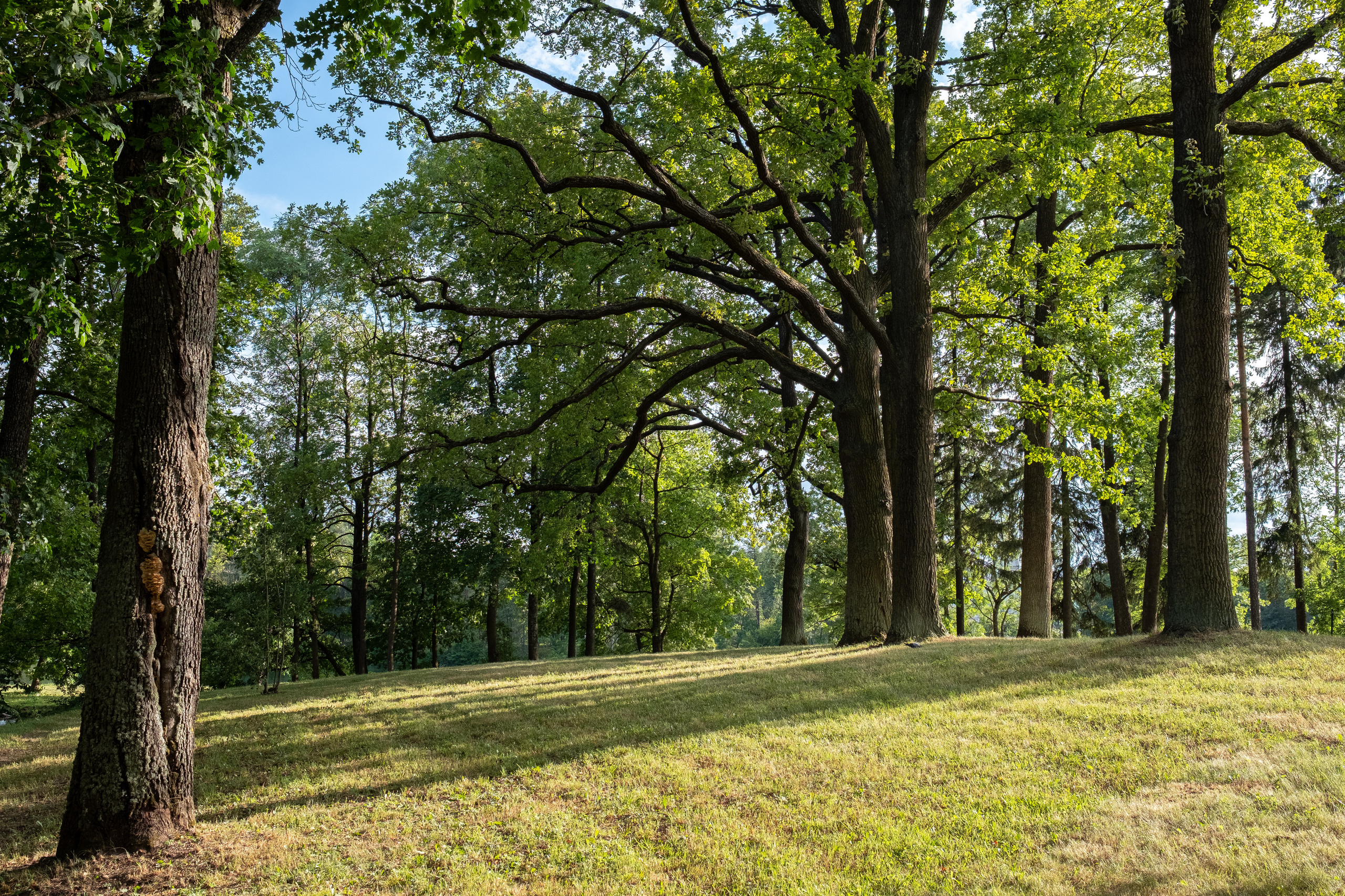 Санкт-Петербург. ПОБУДЬ ЗДЕСЬ И ЦЕЛЕЕ БУДЕТ ЭТОТ МИР
