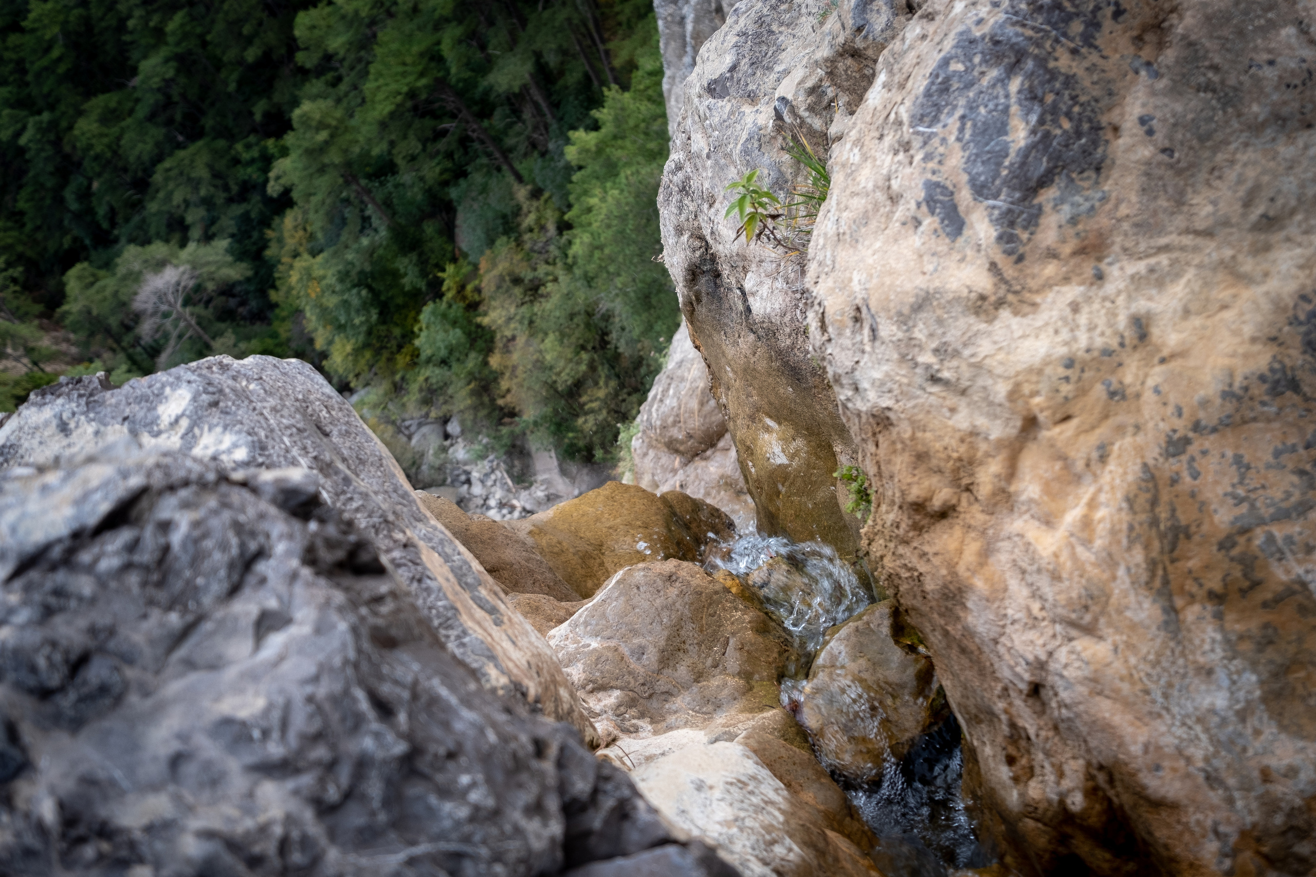 Крым. ПОБУДЬ ЗДЕСЬ И ЦЕЛЕЕ БУДЕТ ЭТОТ МИР