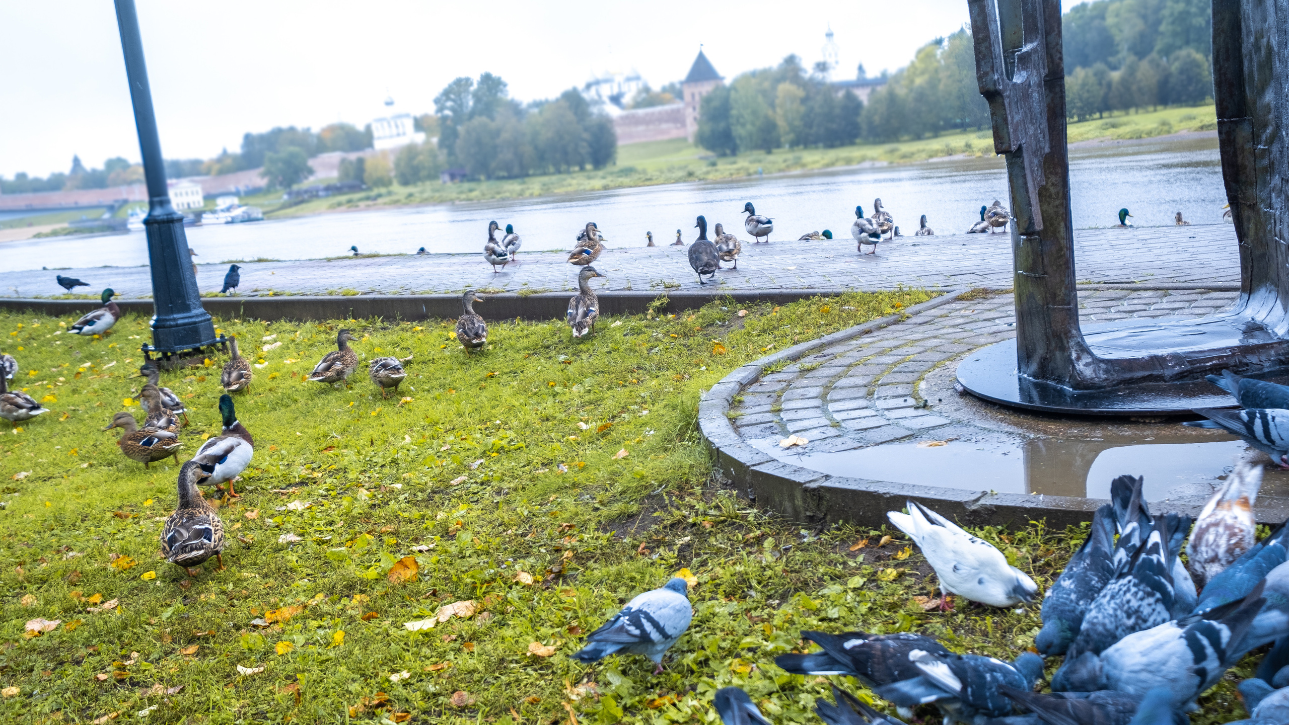 Великий Новгород. ПОБУДЬ ЗДЕСЬ И ЦЕЛЕЕ БУДЕТ ЭТОТ МИР