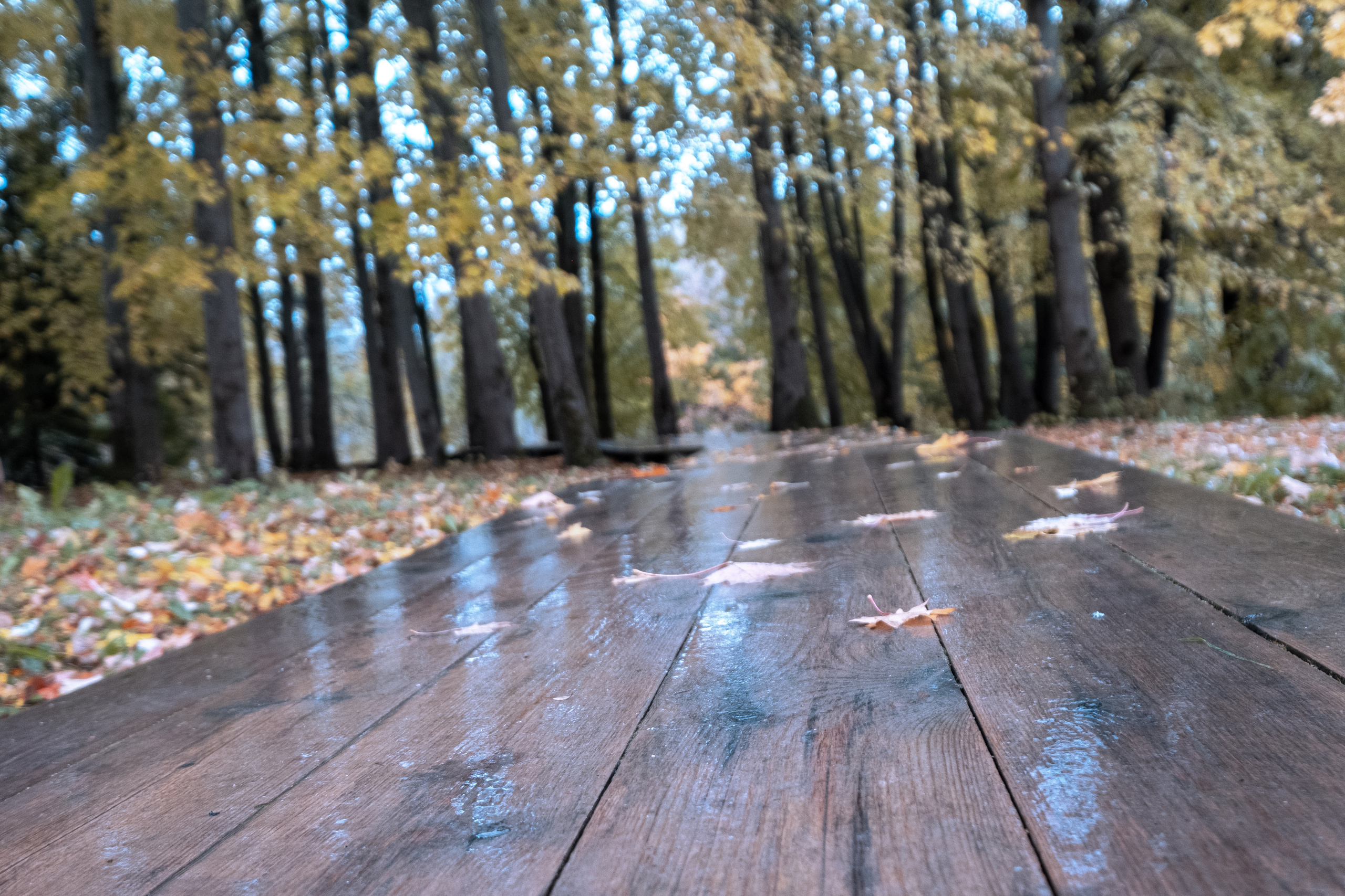 Великий Новгород. ПОБУДЬ ЗДЕСЬ И ЦЕЛЕЕ БУДЕТ ЭТОТ МИР