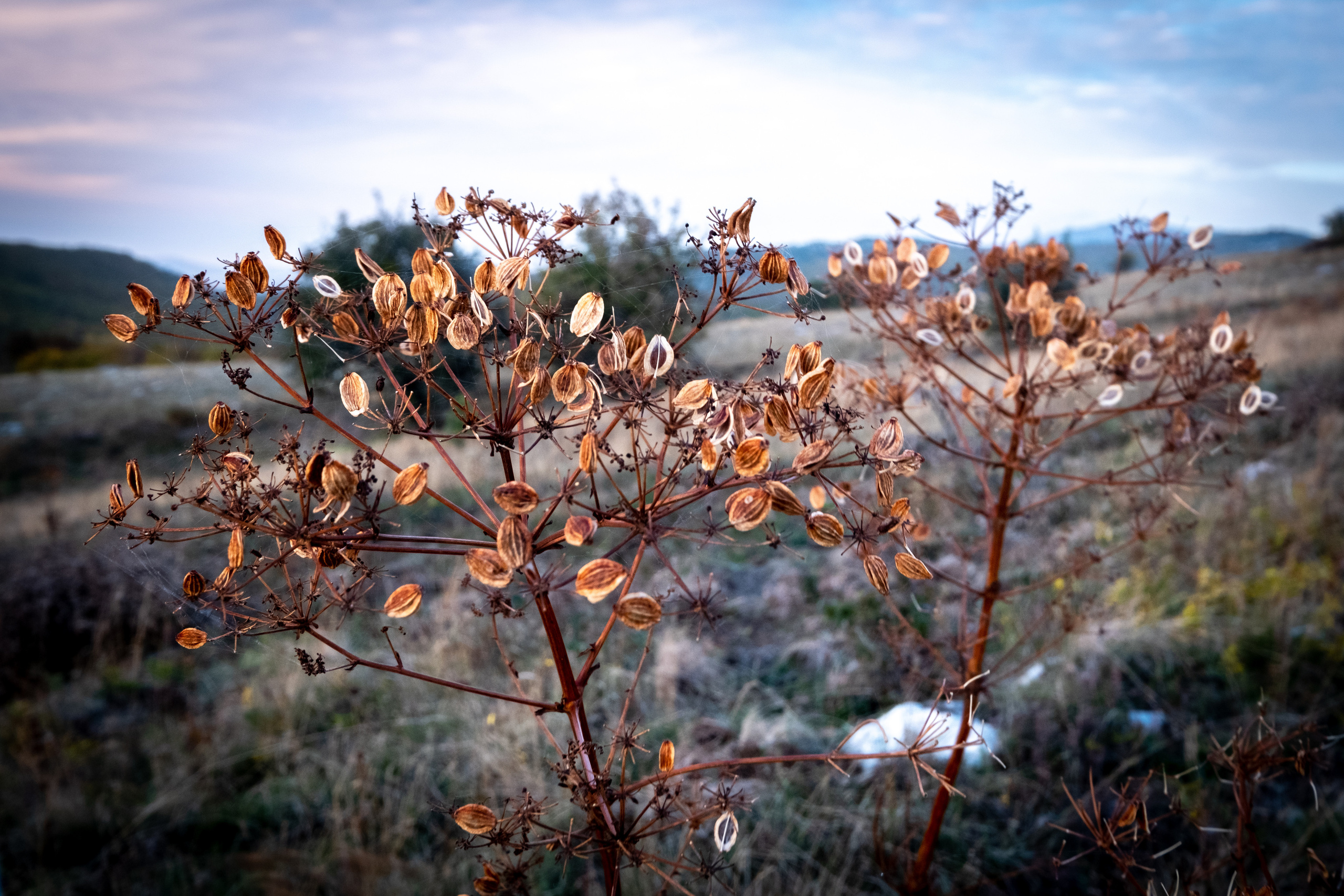 Крым. ПОБУДЬ ЗДЕСЬ И ЦЕЛЕЕ БУДЕТ ЭТОТ МИР