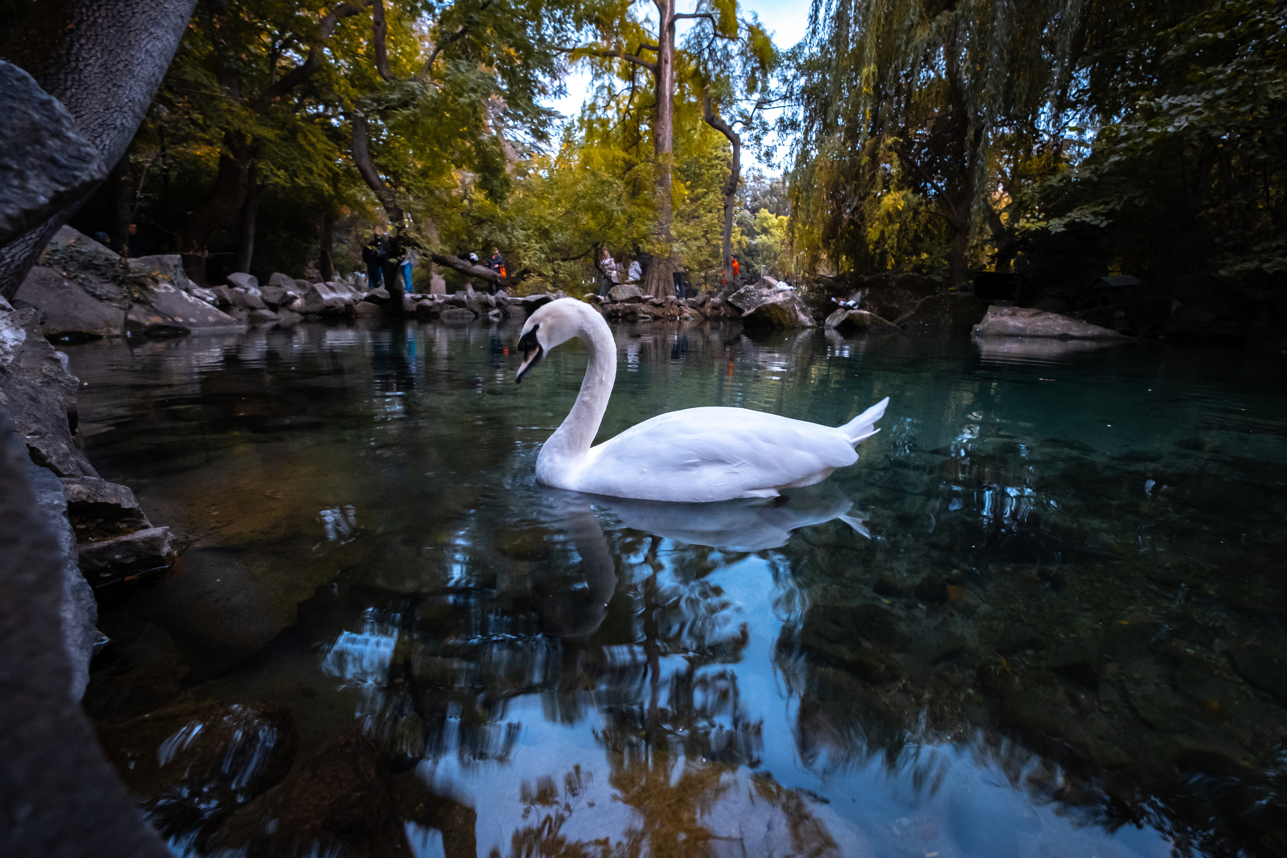 Крым. ПОБУДЬ ЗДЕСЬ И ЦЕЛЕЕ БУДЕТ ЭТОТ МИР