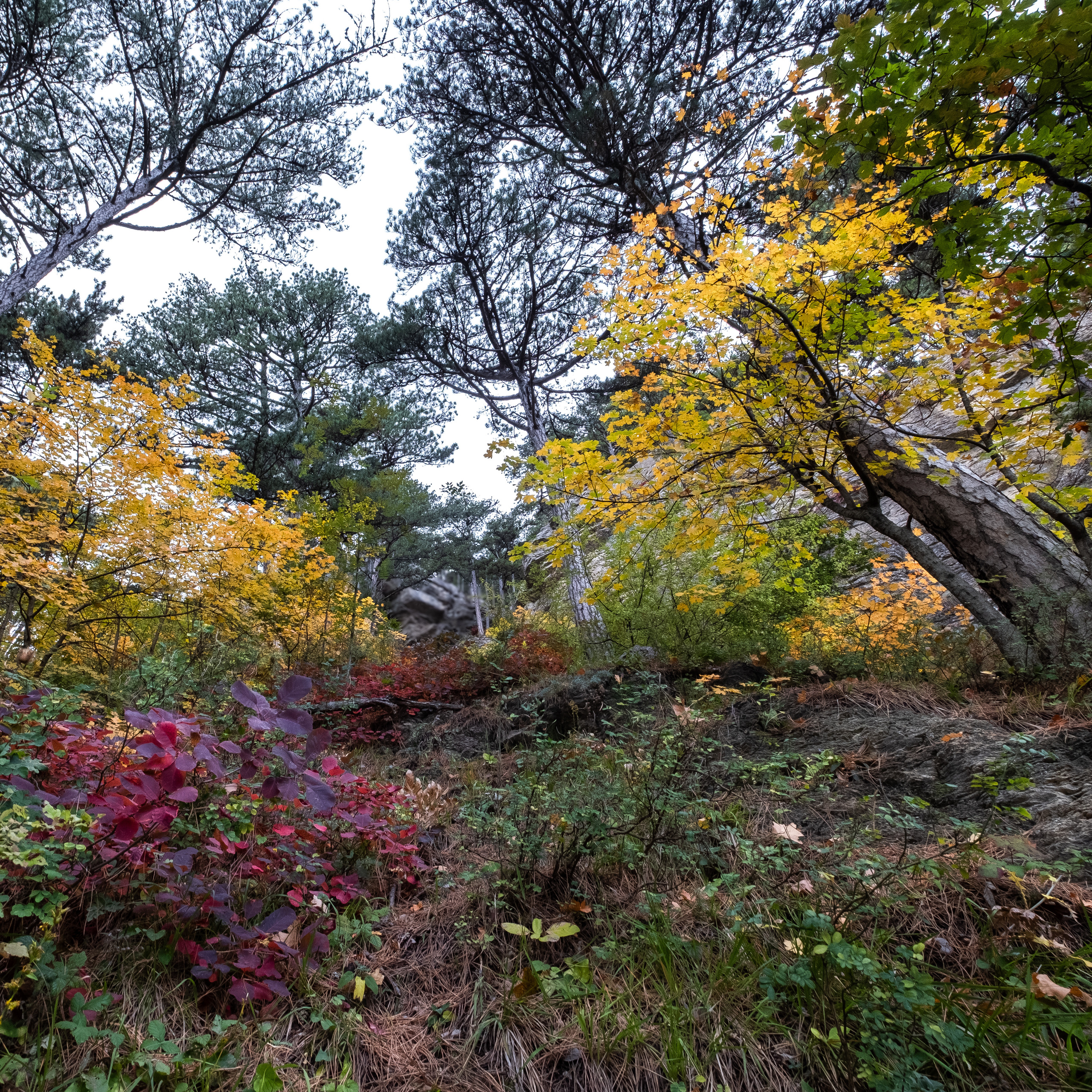 Крым. ПОБУДЬ ЗДЕСЬ И ЦЕЛЕЕ БУДЕТ ЭТОТ МИР