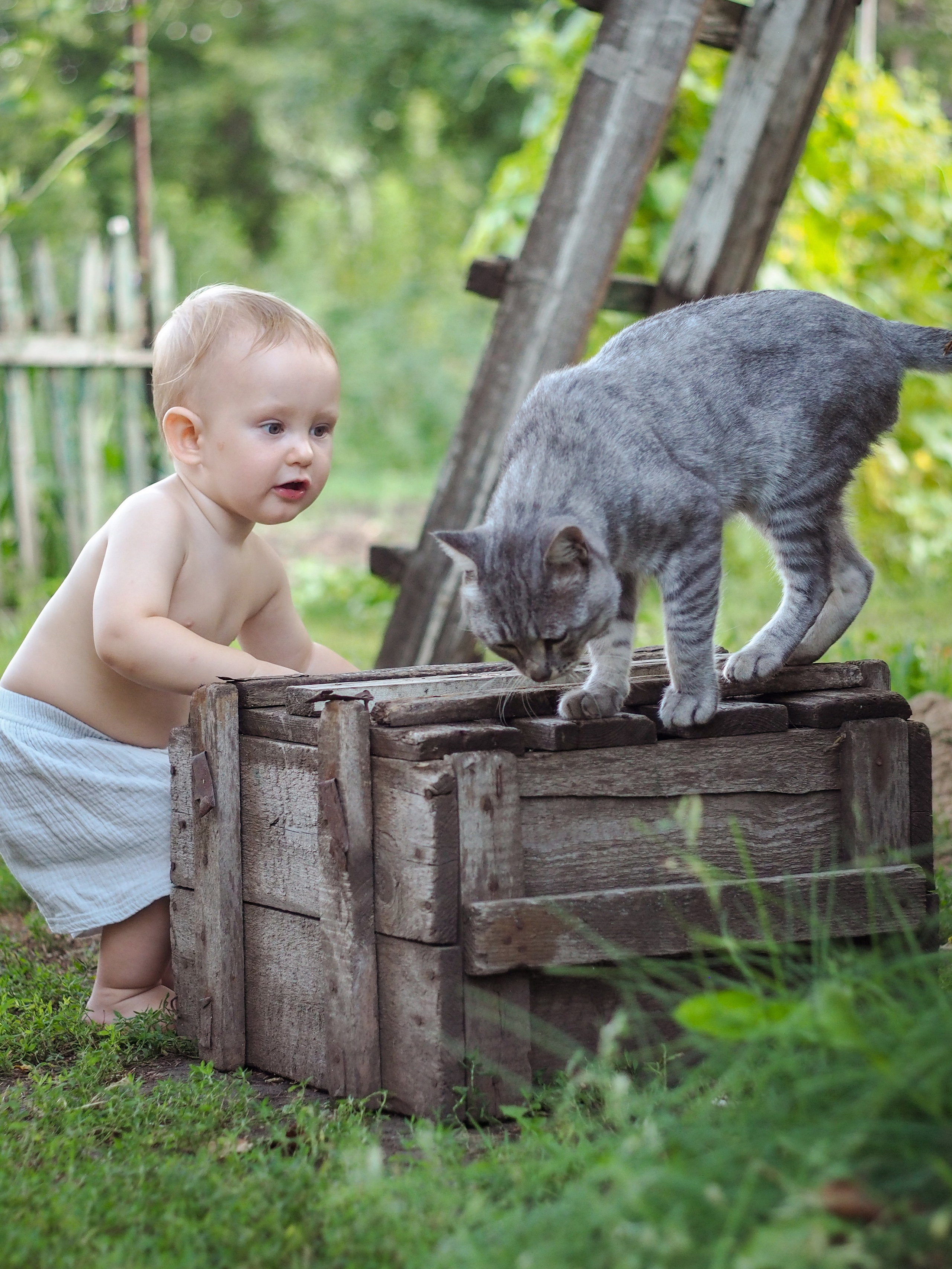 Детская. Семейный фотограф в Марксе Светлана Шибаршина