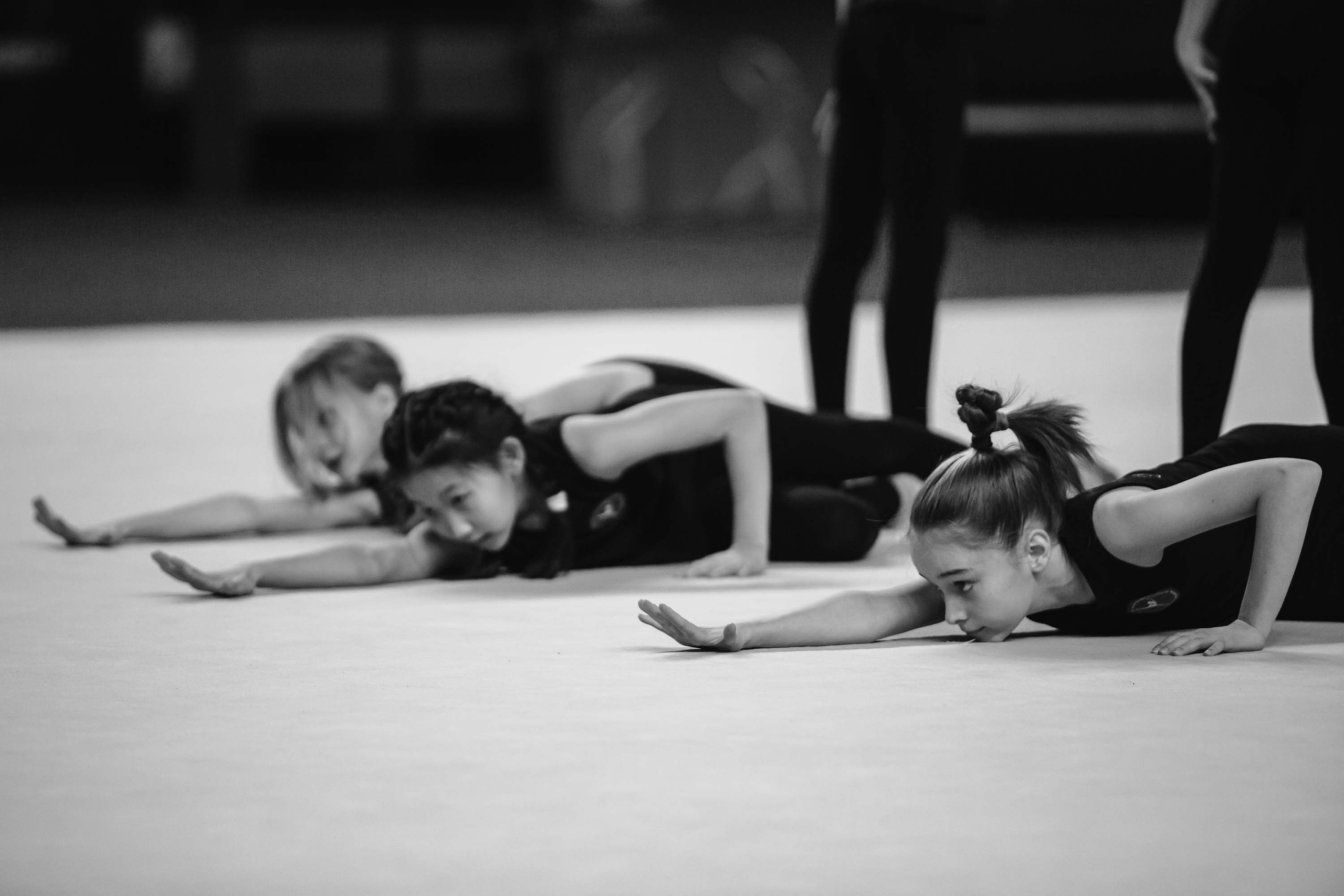 Кубок России по эстетической гимнастике. Спортивный фотограф Александр Васильев. RG и AGG