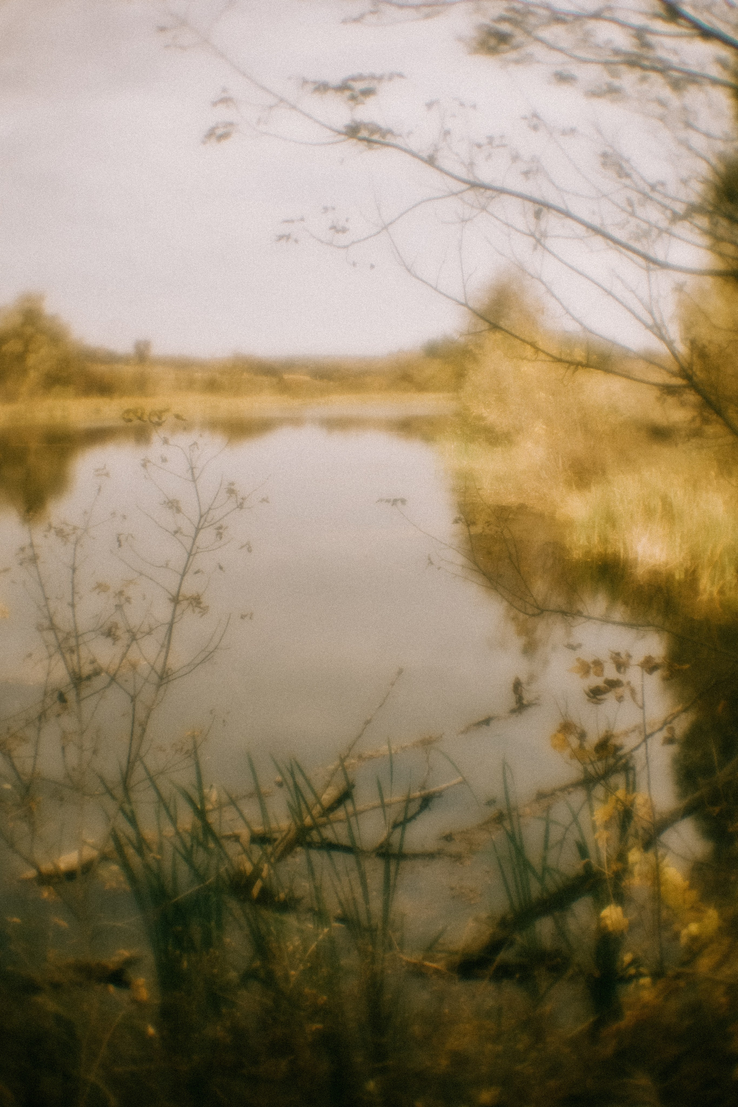 Пикториальный альбом. Семейный LIFESTYLE фотограф в Москве