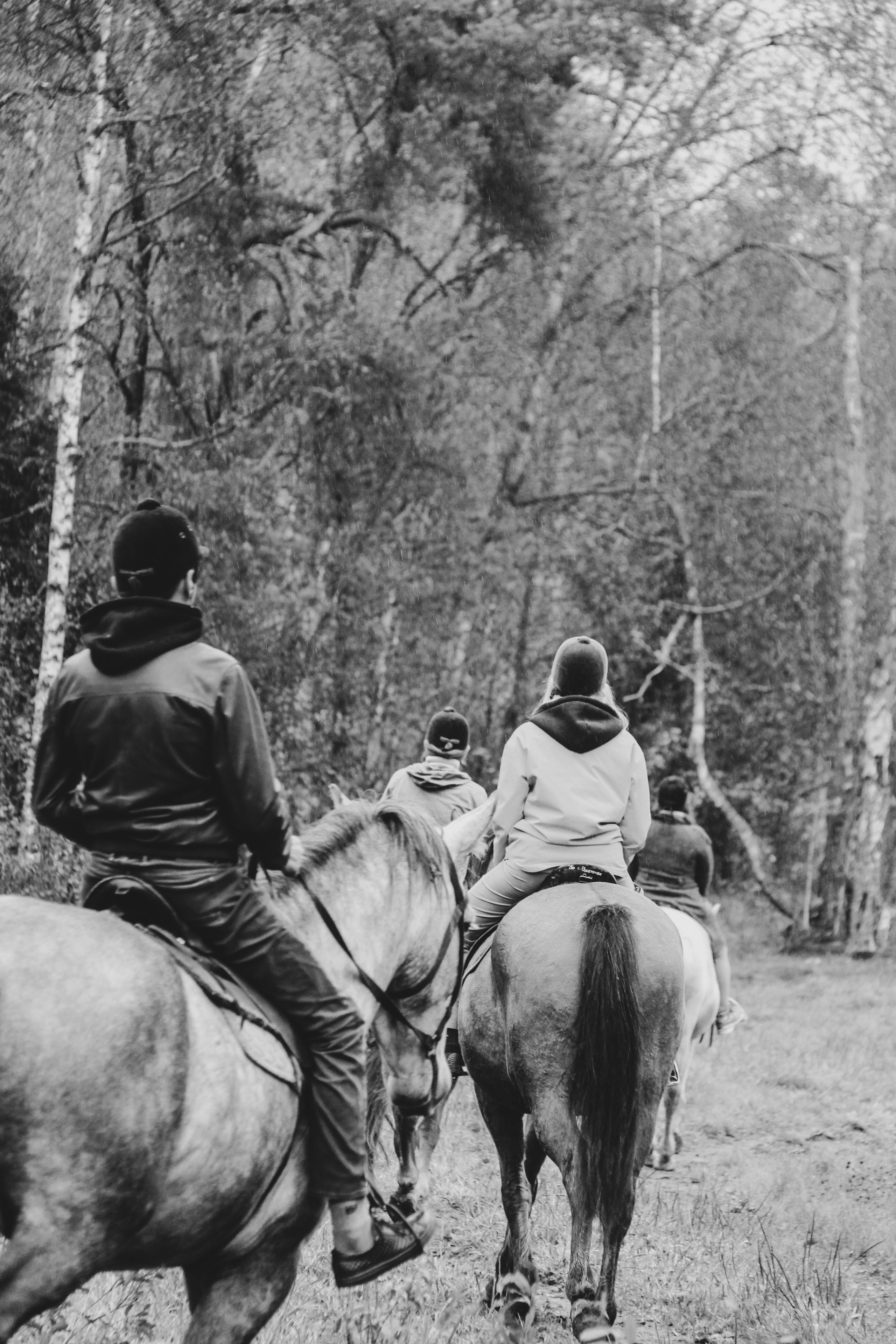 Лошадинг | 27.09.2025. Галерея Фантим