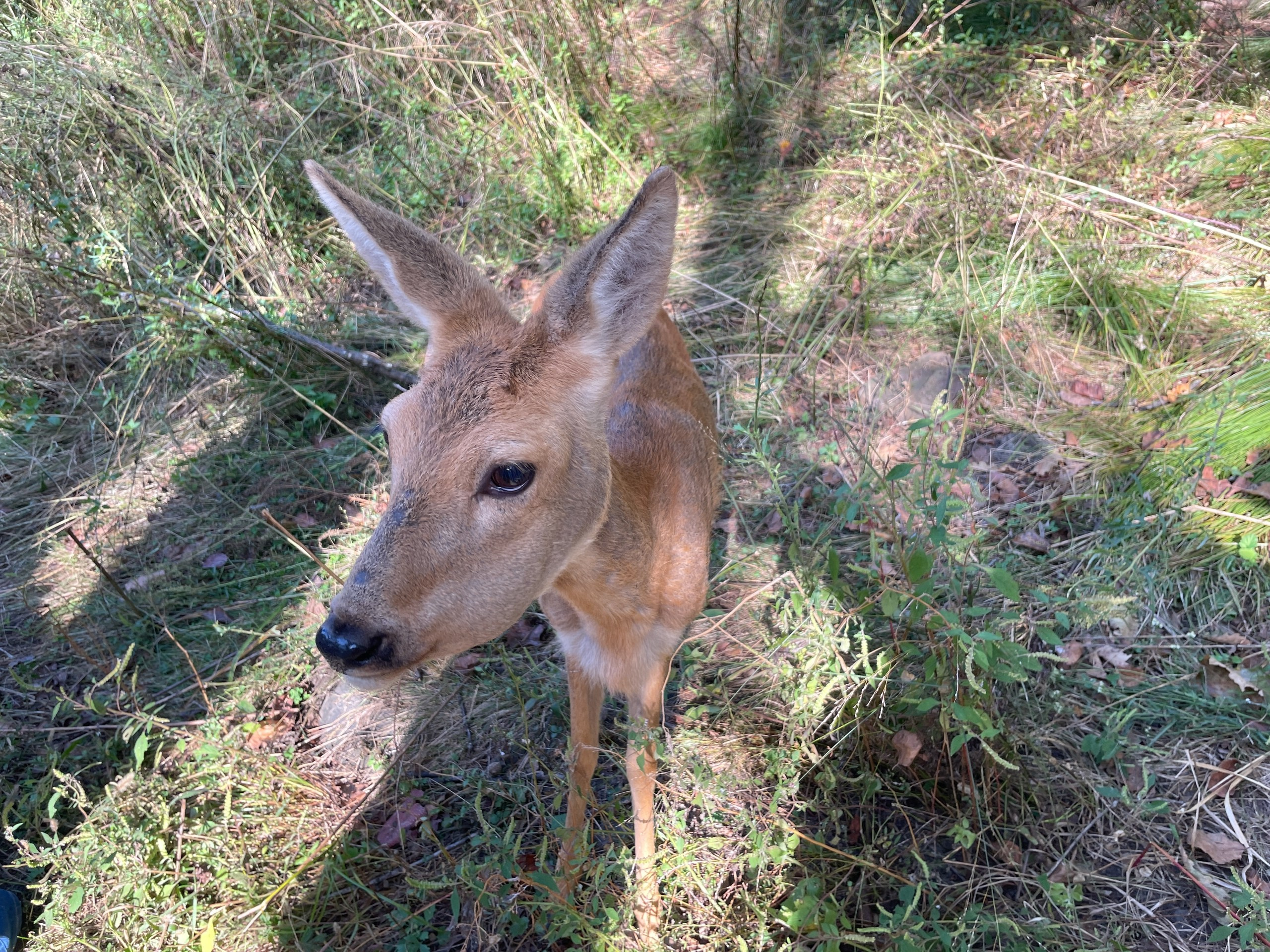 Владивосток 1 | 18-21.09.2025. Галерея Фантим