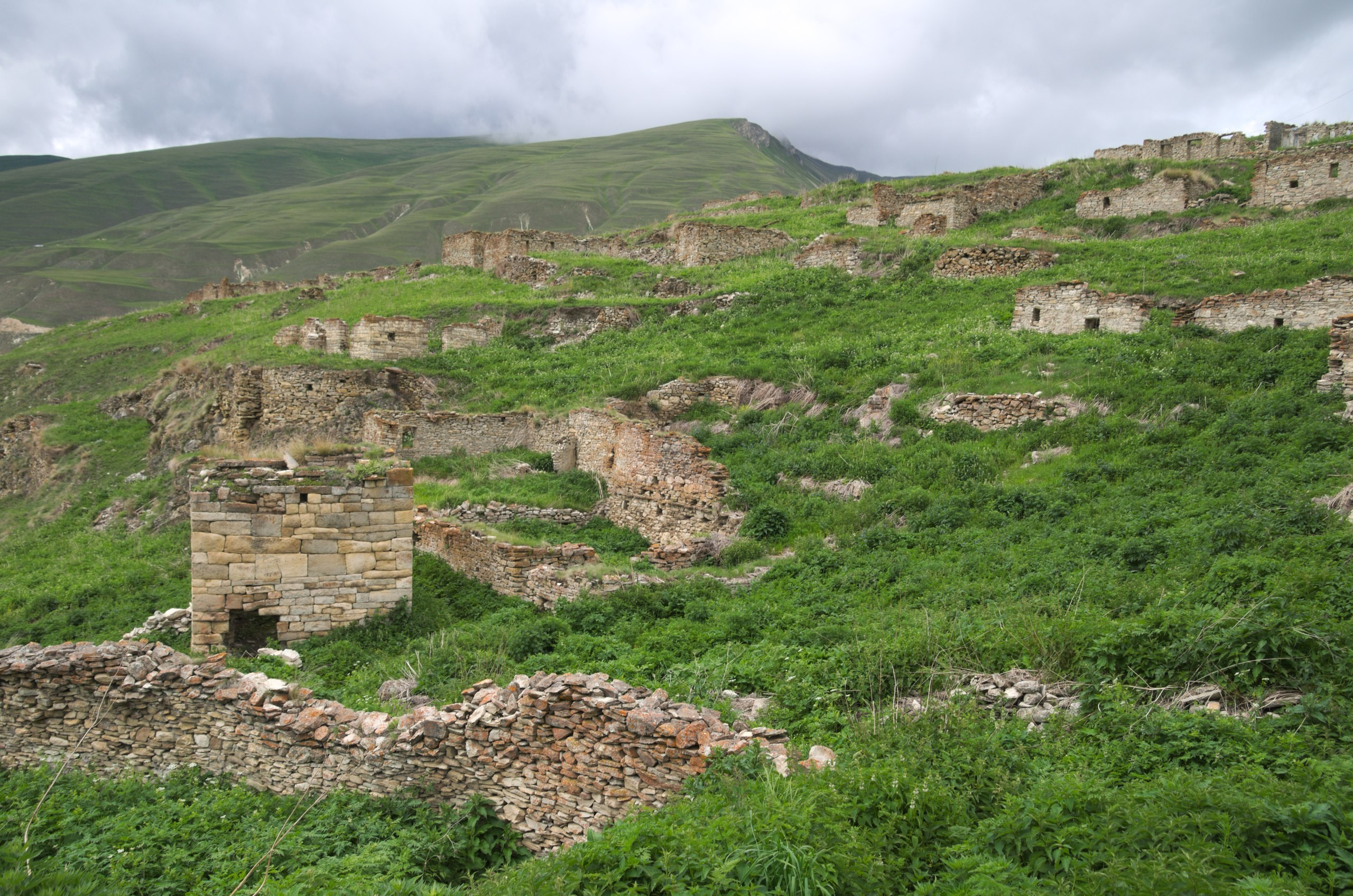 Чечня+Ингушетия | 10-12.06.2017. Галерея Фантим