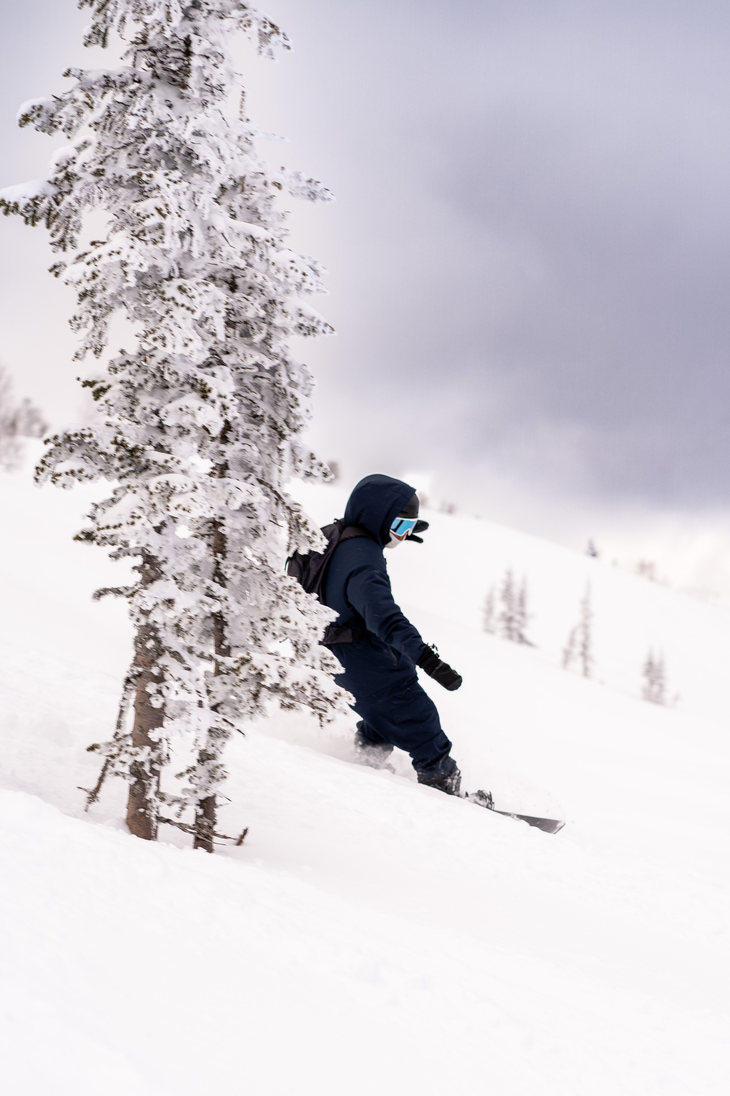Фрирайд. Анастасия Паршукова — фотограф Шерегеш Новосибирск