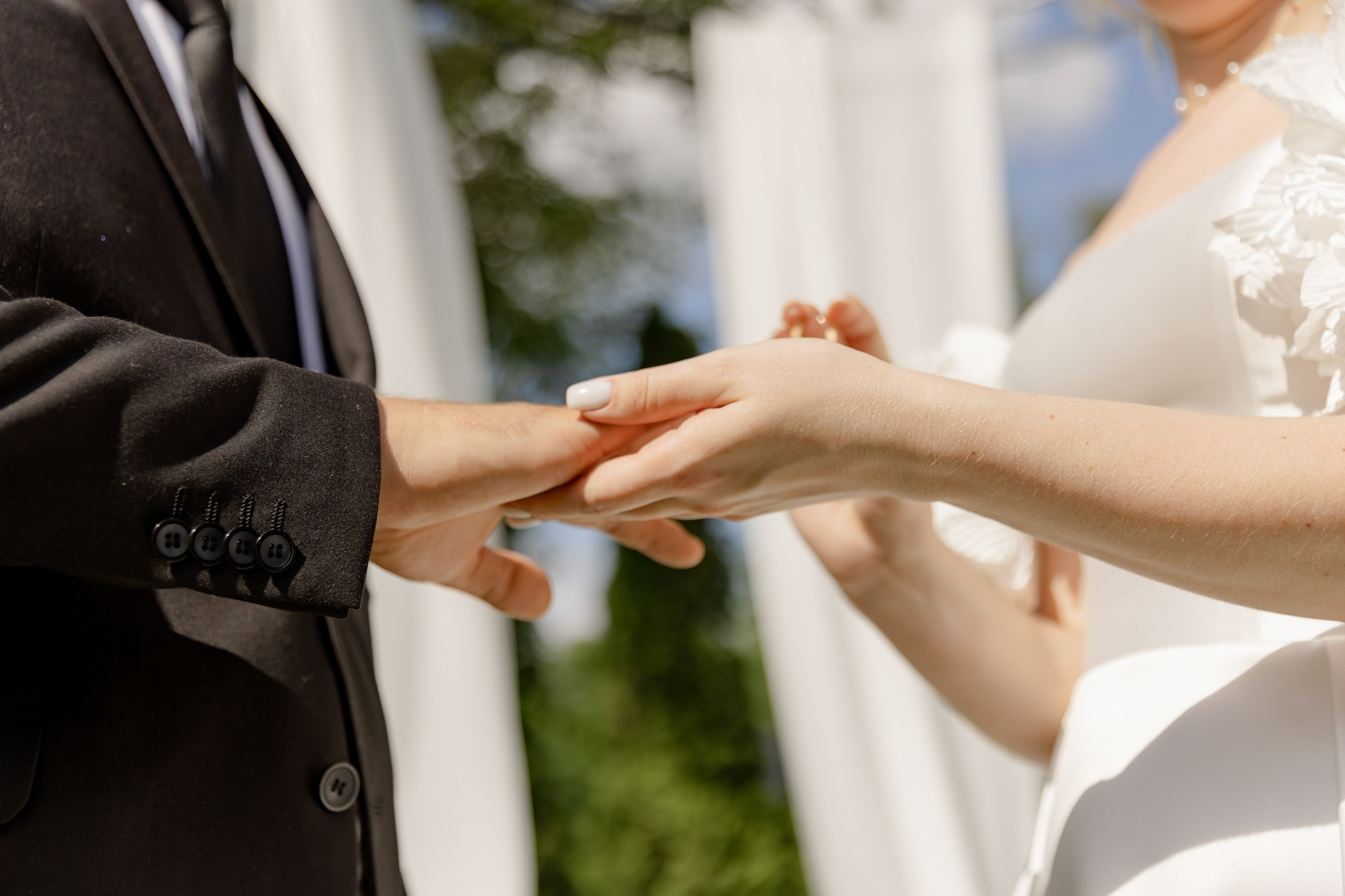 Свадьба пес и котики. Dima Lemeshevsky