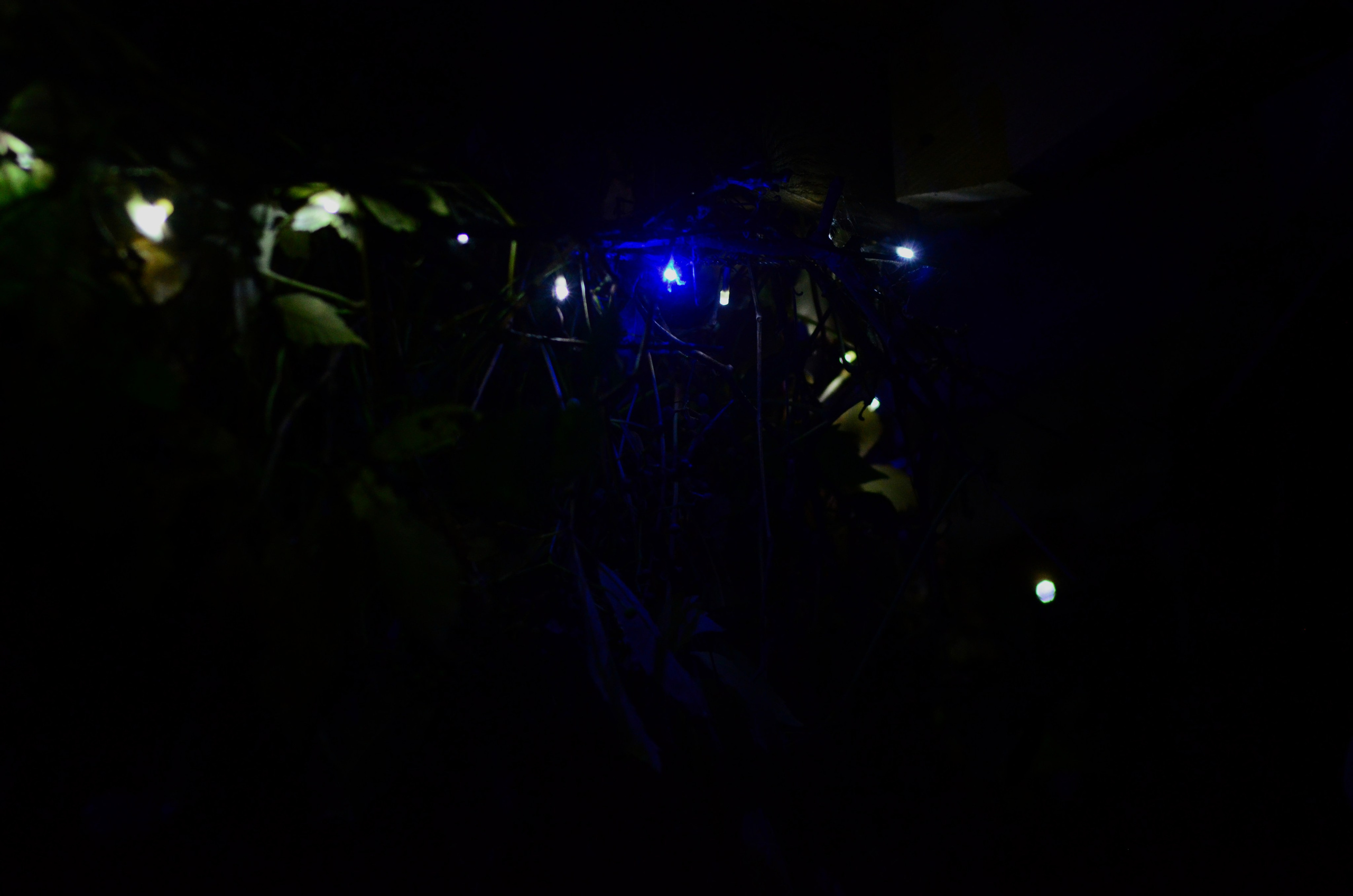 Системы хранения с фасадами из дикого дерева. Авторская фотография. Близнецовые пламёна