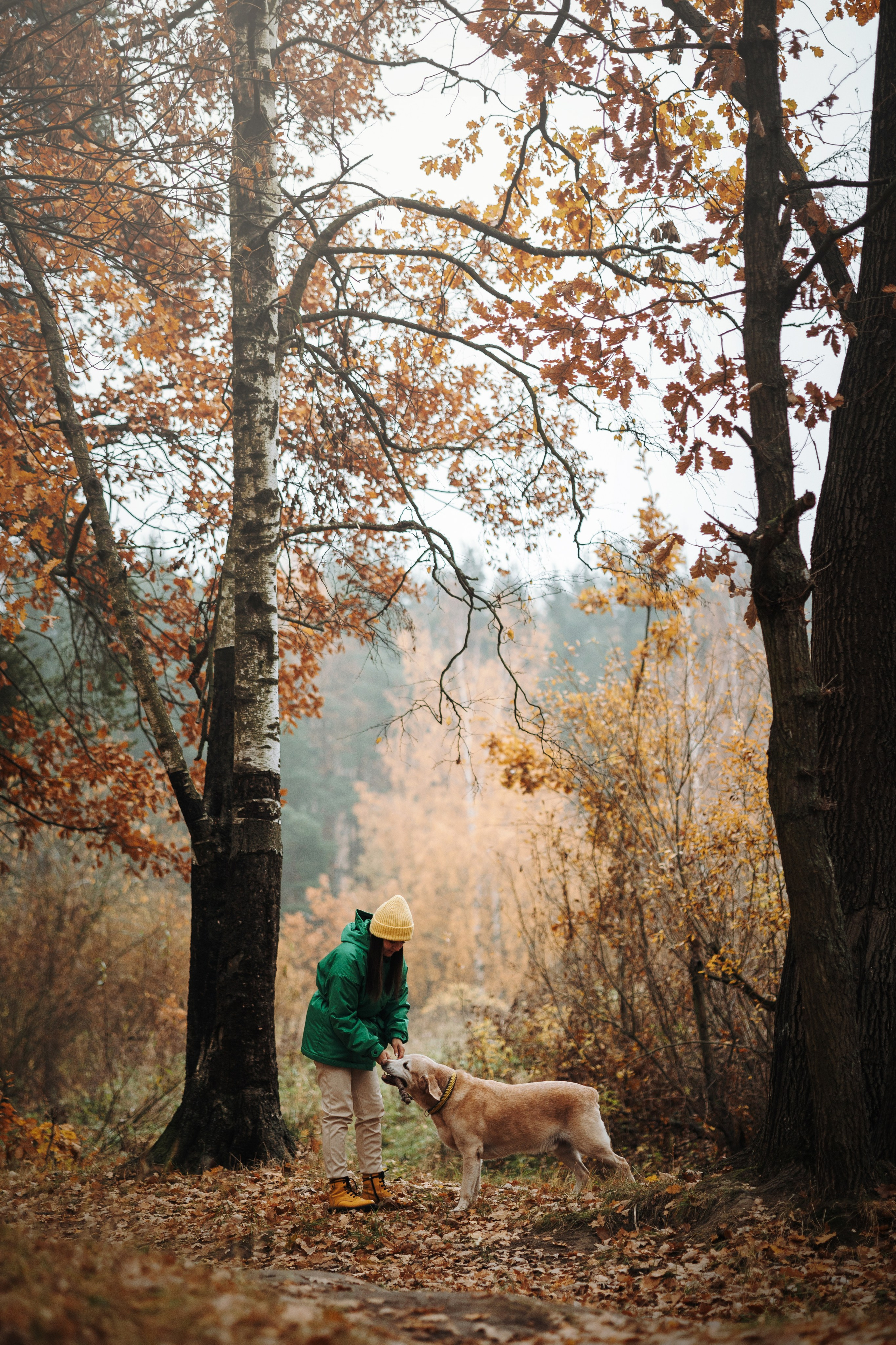 Оксана и Барон. Фотограф — Анималист | Санкт-Петербург
