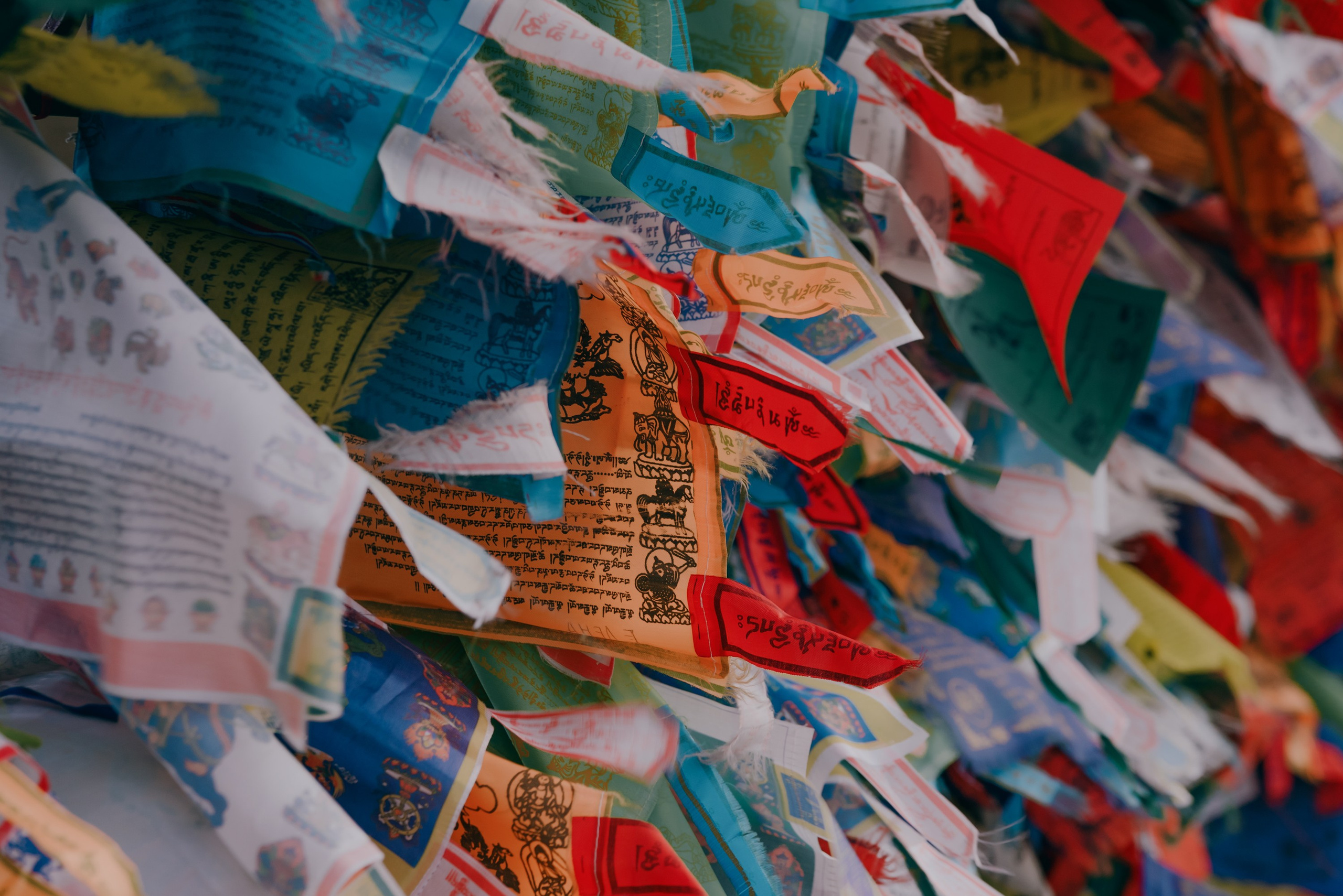 Vogue. Фотограф в Ростове-на-Дону