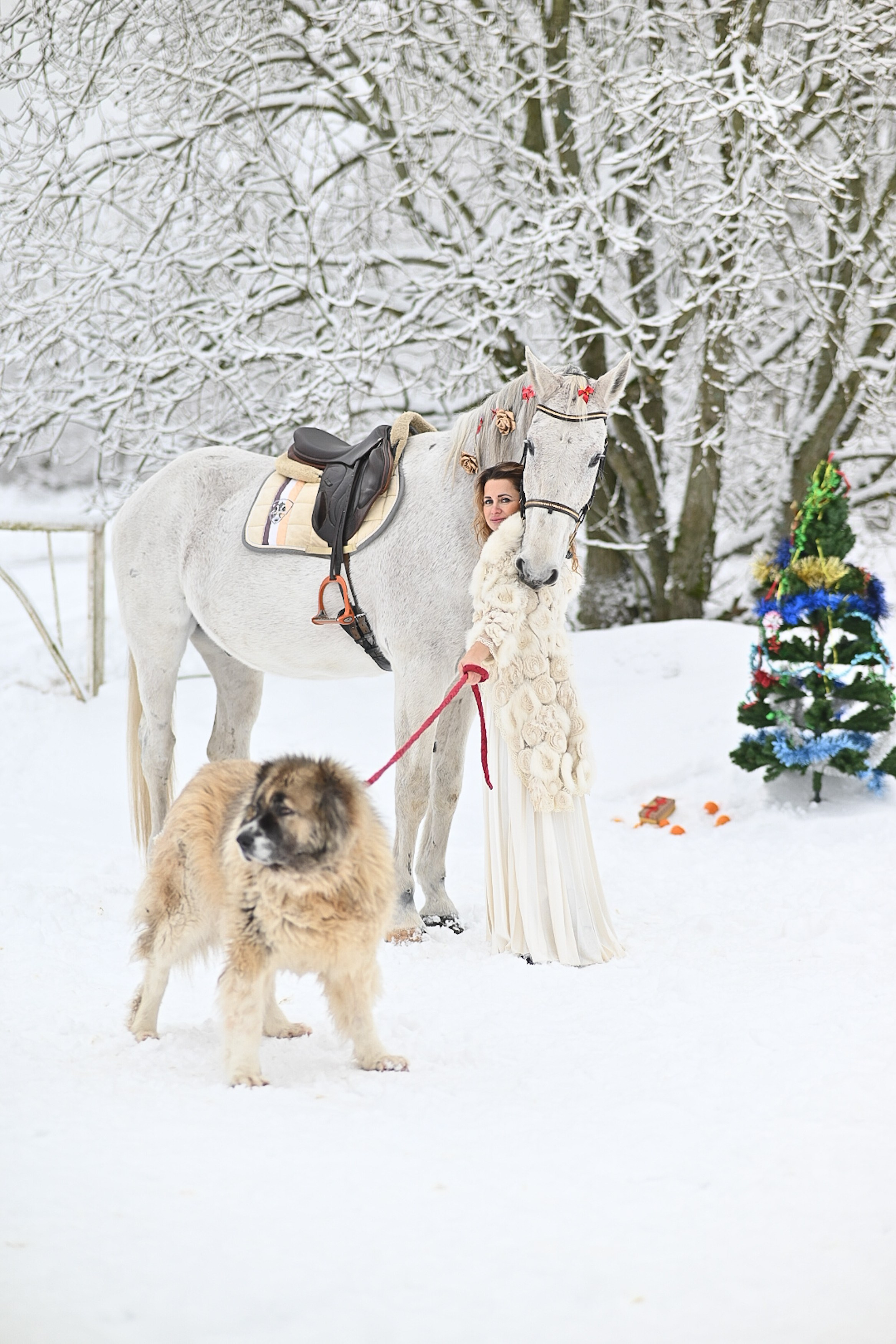 Екатерина и Гамин. LifeStyle фотограф Анна Воробьёва Санкт-Петербург