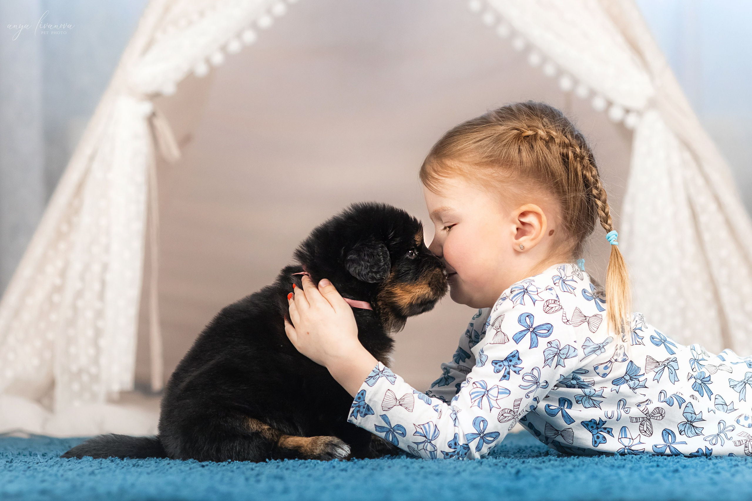 Тибеты. Фотограф анималист Аня Ливанова | Рыбинск