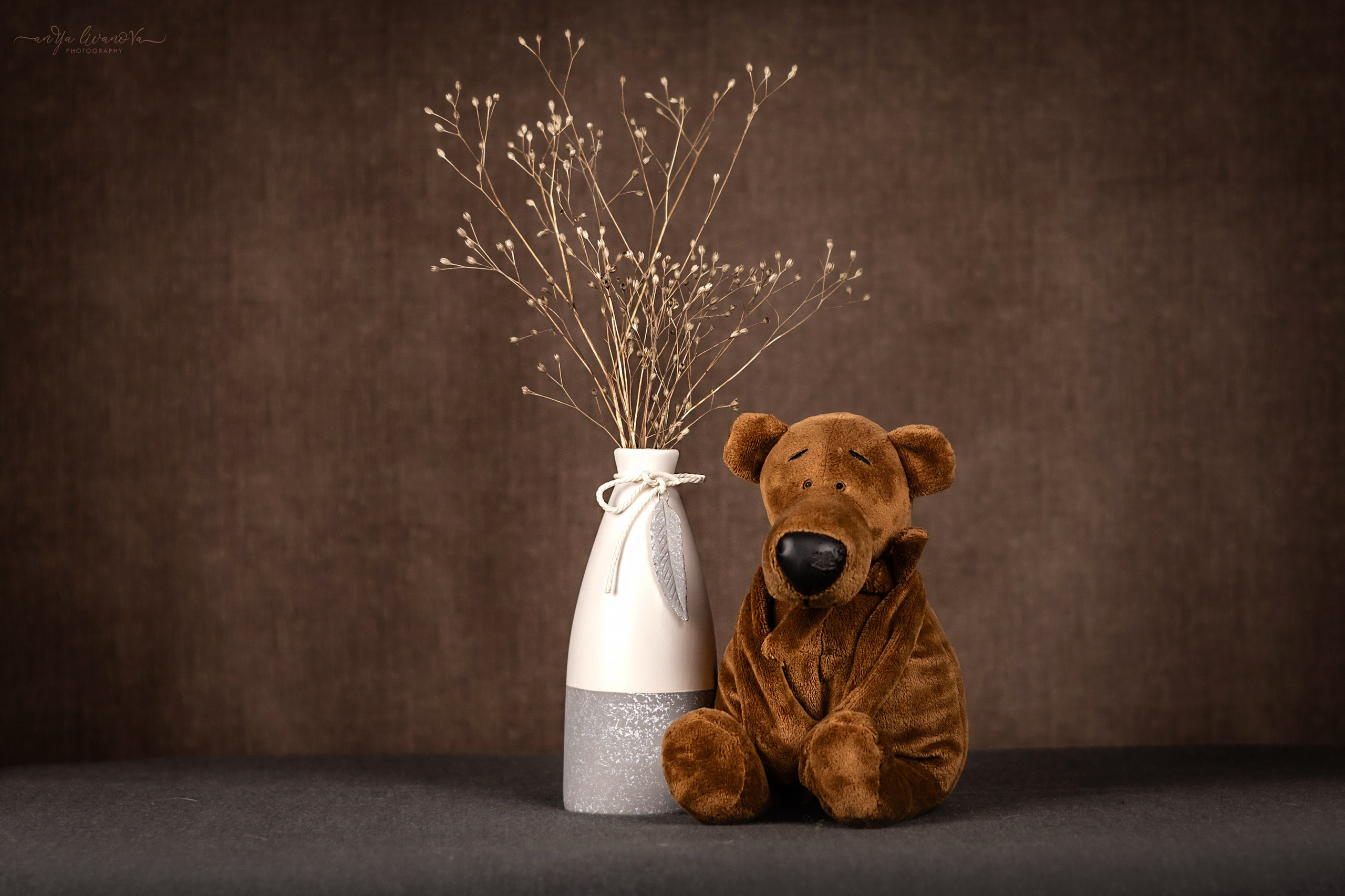 Коричневый фон. Фотограф анималист Аня Ливанова | Рыбинск