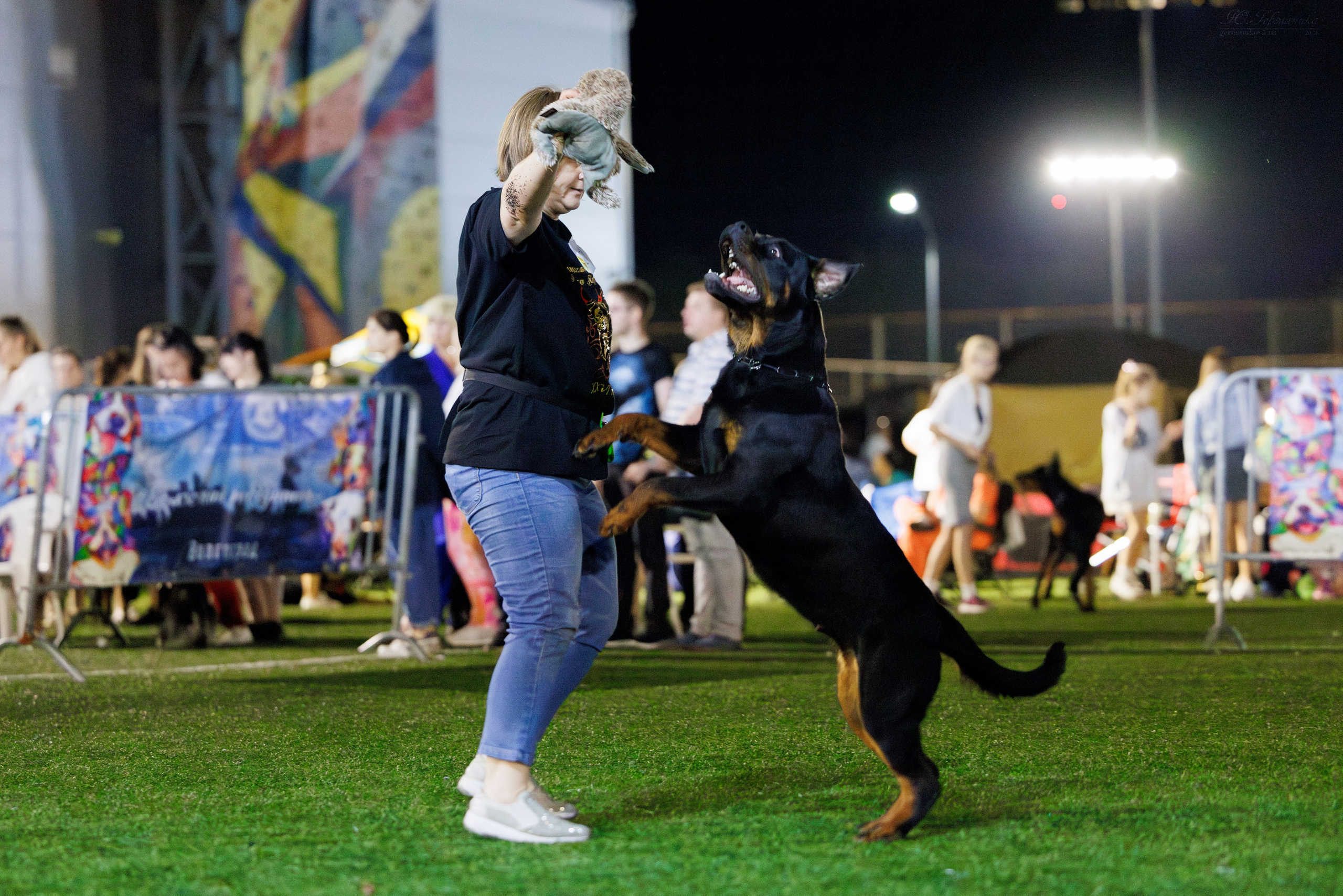 Волгоград 2-4.08.2024. Фотограф-анималист Юлия Германика