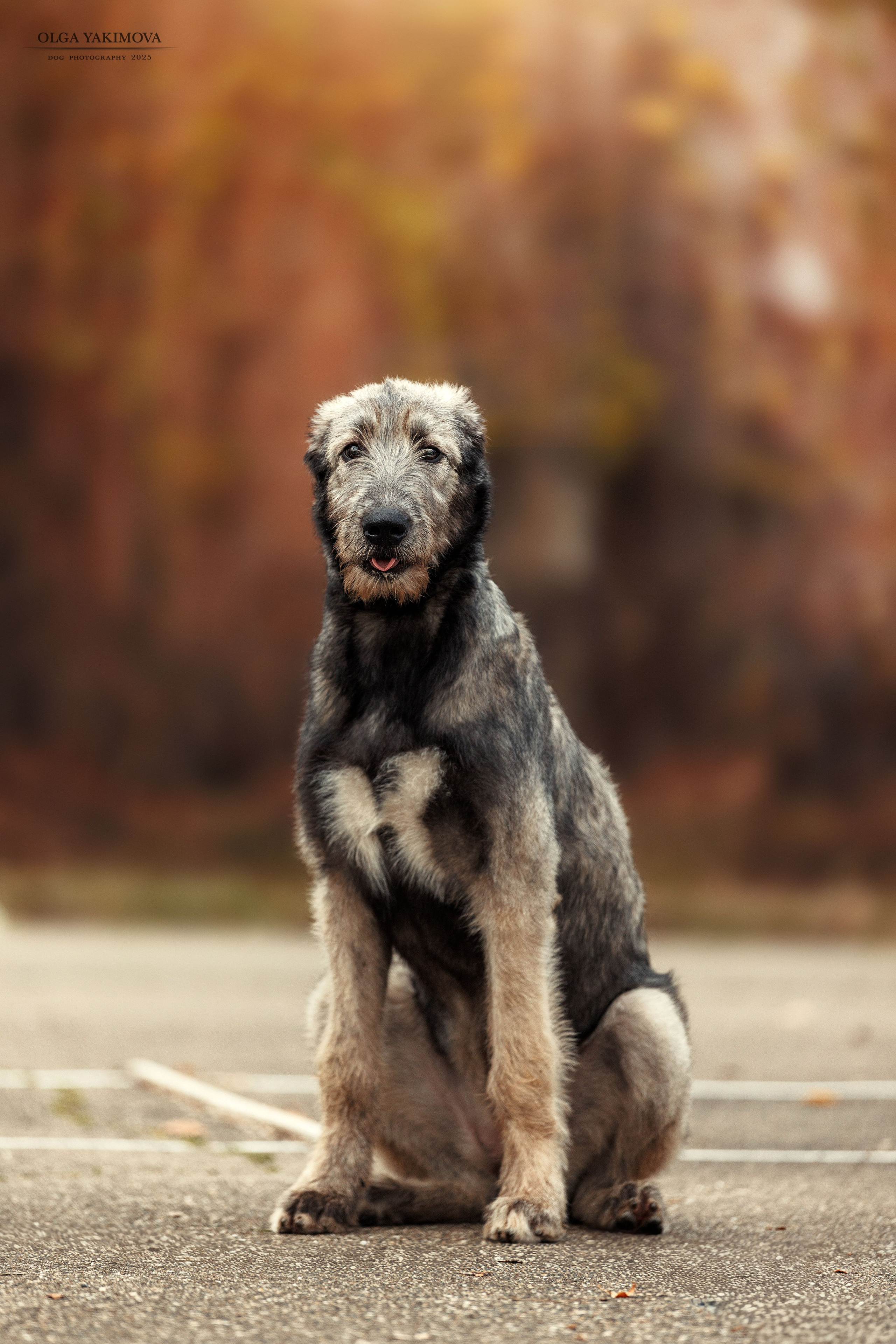 Экстерьер. Фотограф