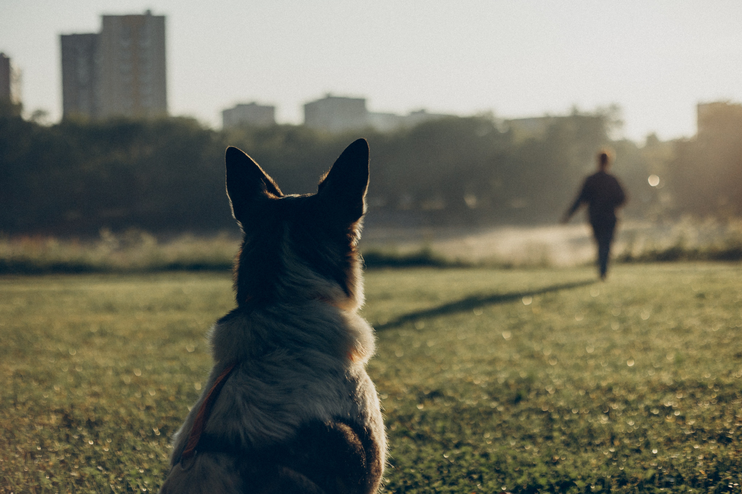 Варя и Зося. Татьяна Афонина | Фотограф