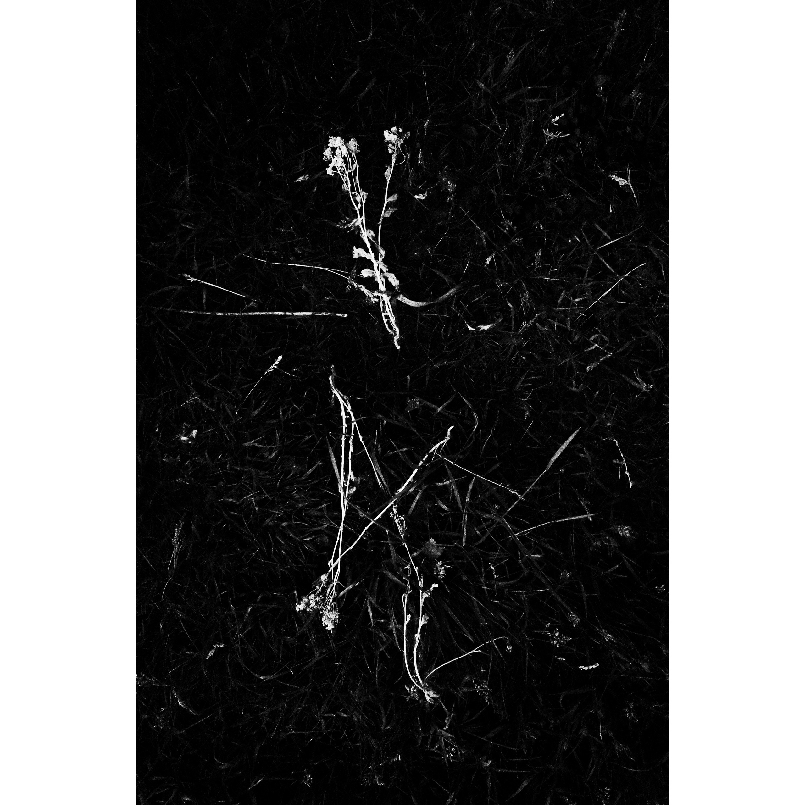 Дощечки. Полиптихи разных лет. Артём Линейцев, фотограф