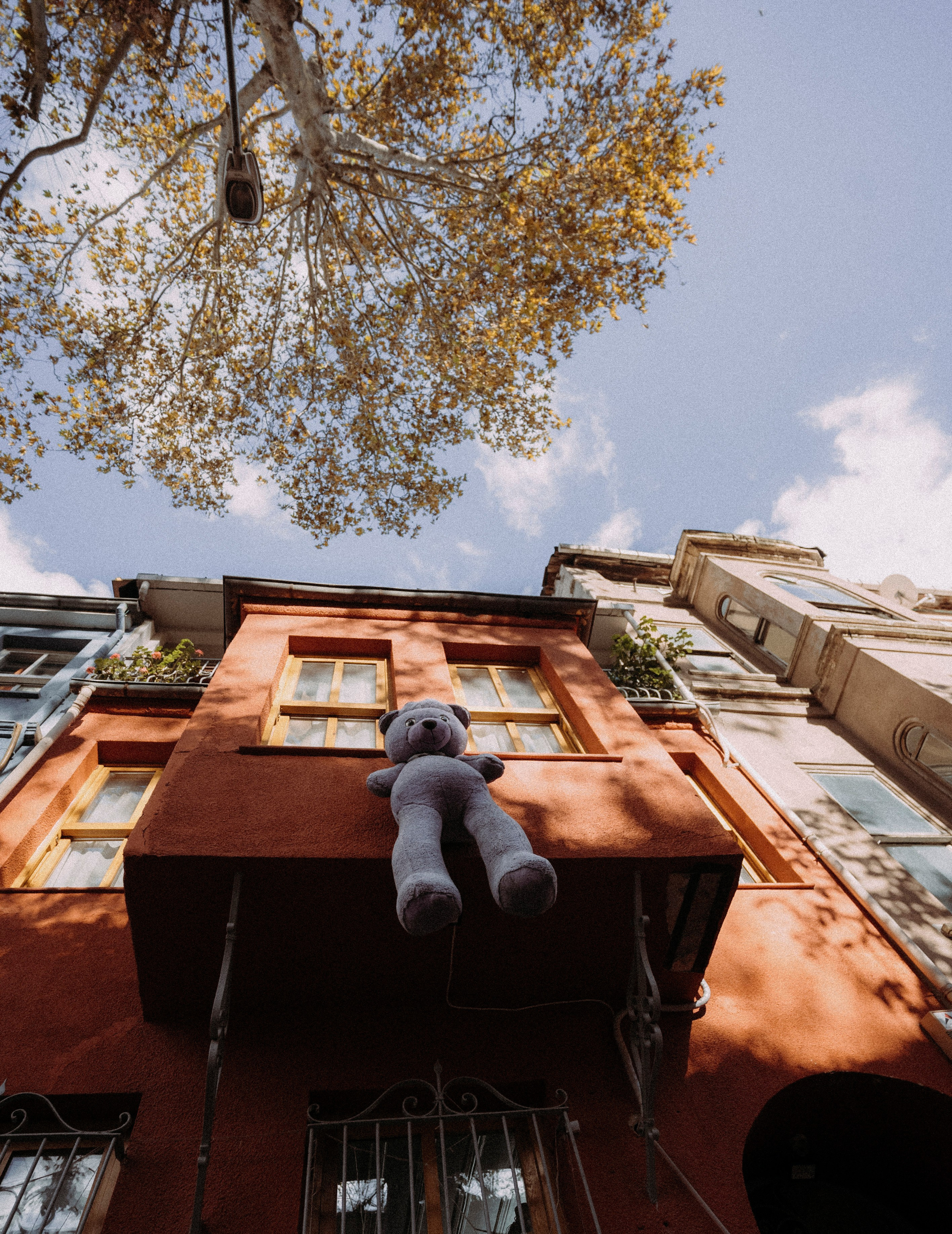 СТАМБУЛ. Стрит-фотография, полная абсурда, идиотизма и красоты