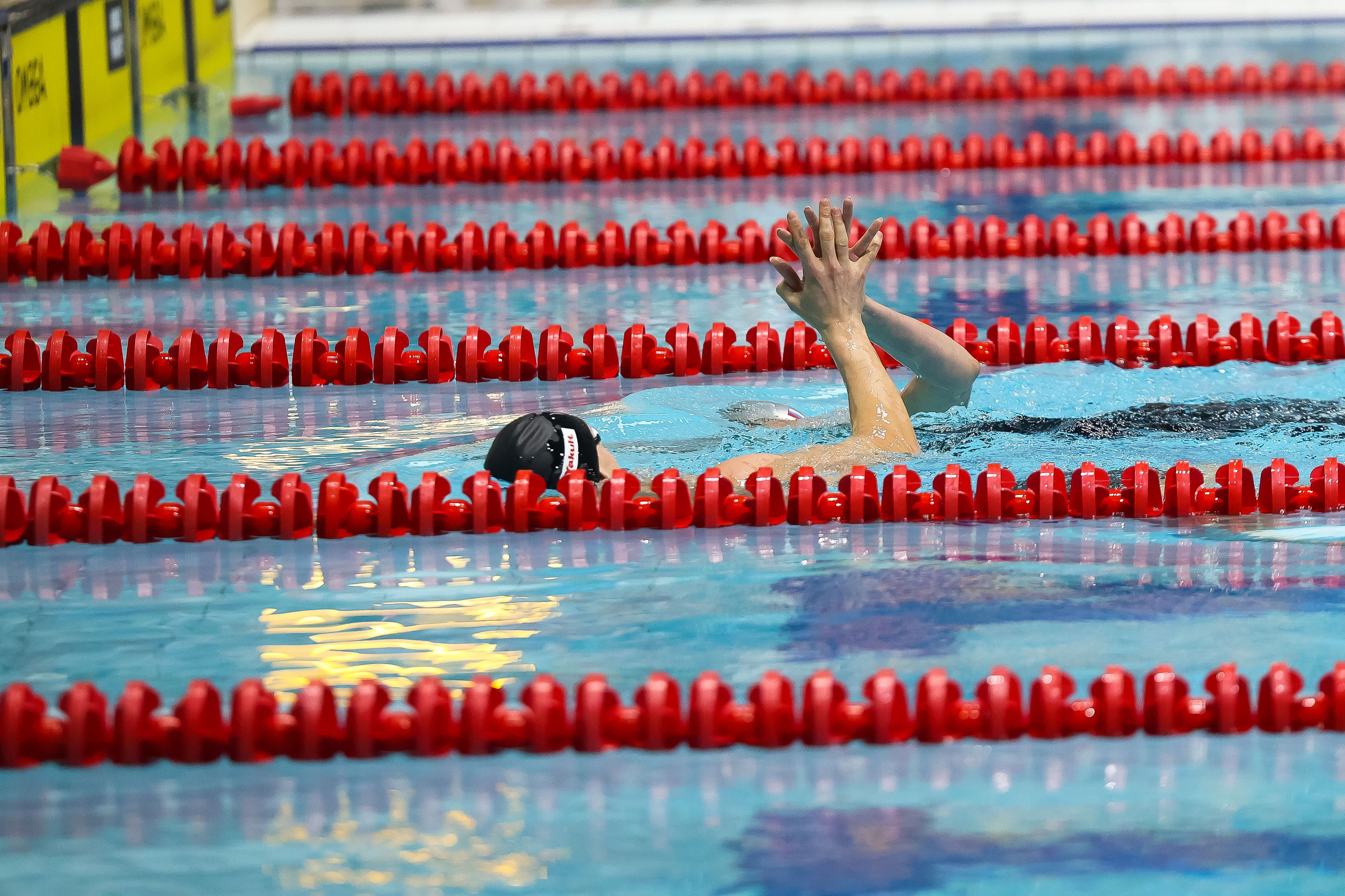 ЧР по плаванию. Профессиональный спортивный фотограф в Санкт-Петербурге