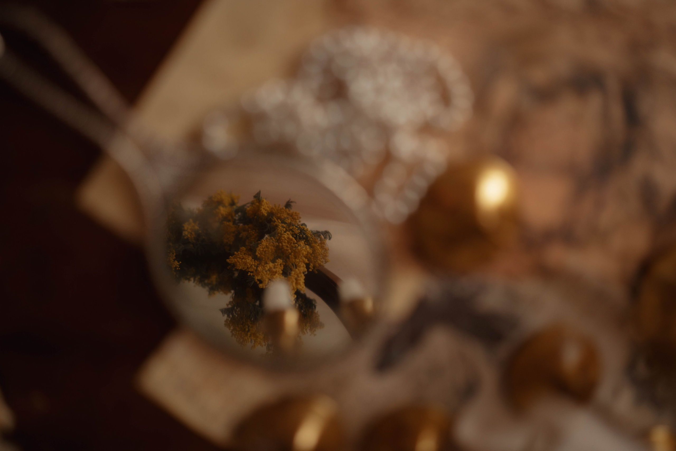 Кристина и Аврора. Фотограф в Новосибирске Диана Ильиных