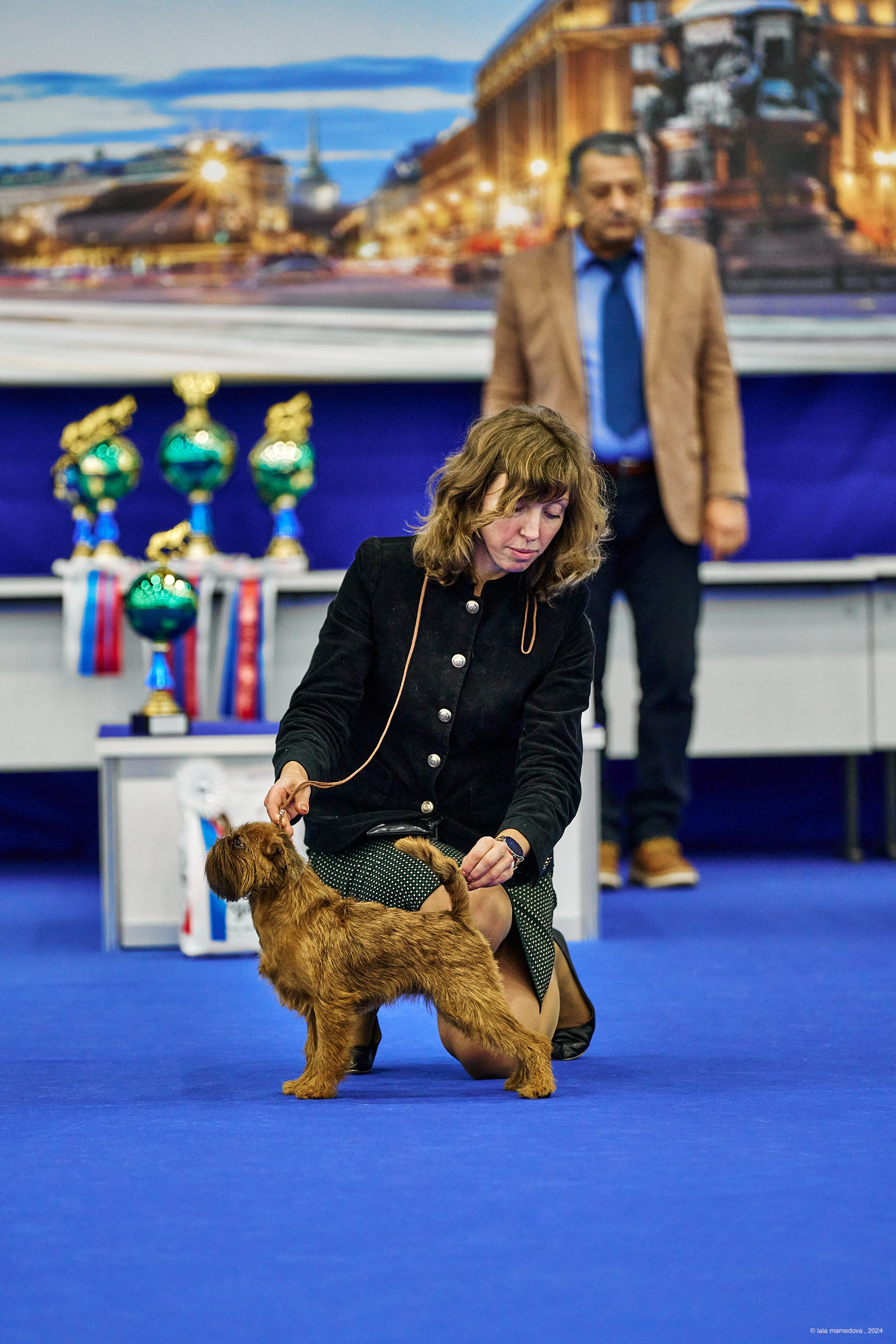 РЕЙТИНГОВАЯ ВЫСТАВКА СОБАК ВСЕХ ПОРОД С ОСОБЫМ СТАТУСОМ"НЕВСКИЙ ПОБЕДИТЕЛЬ-2024-2"