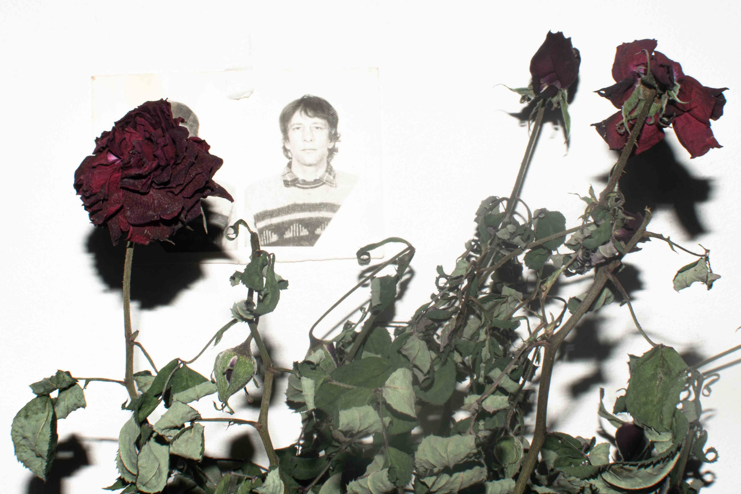 Я буду там, где вечность. Анна Полонеева фотография фотохудожник визуальная художница портреты